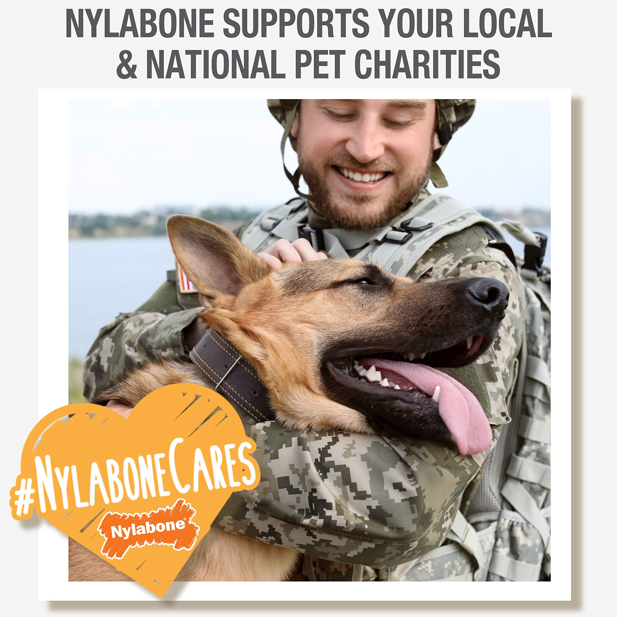 Nylabone Healthy Edibles Natural Puppy Treats - Long-Lasting Dog Treats - Puppy Supplies - Turkey & Sweet Potato Flavor, Small/R