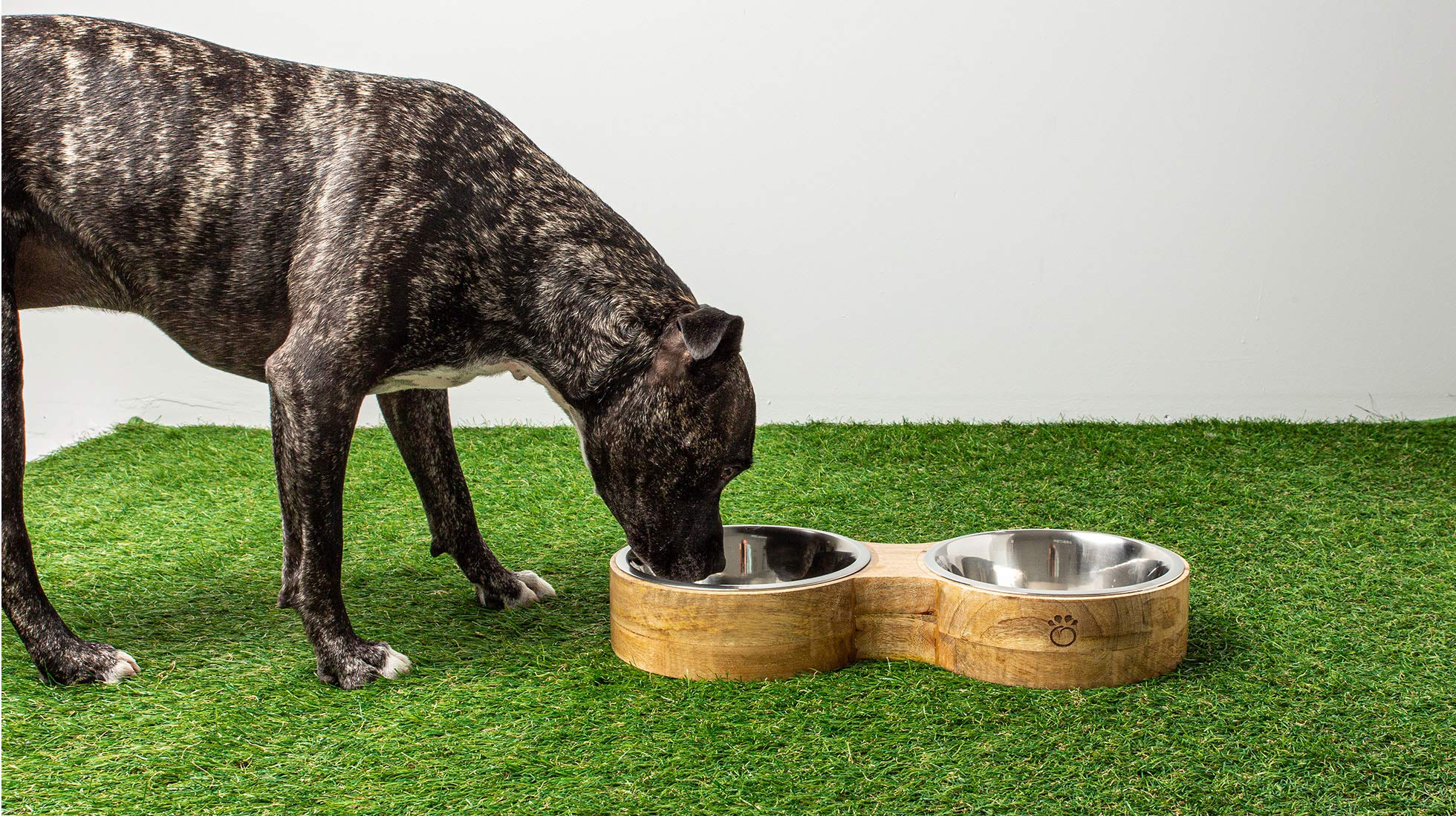 Luxury Elevated Dog Bowl Set - Mango Wood Stand with 2 Stainless Steel Food & Water Bowls - Raised Pet Feeder with Non-Slip Base
