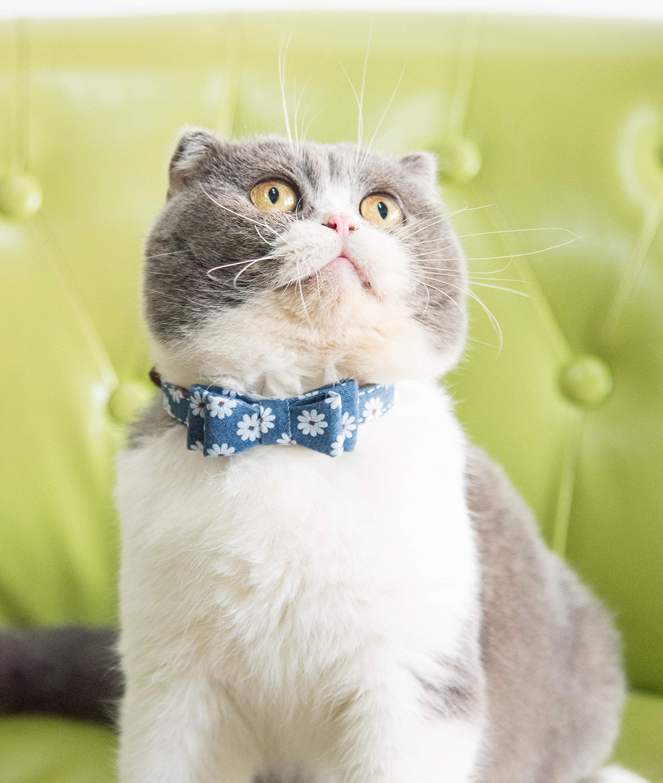 Gyapet Small Dog Collar Puppy Cat Tiny Pet Bow Tie & Bandana 2Pcs Set Pu Leather Canvas Scarf Durable Blue Daisy