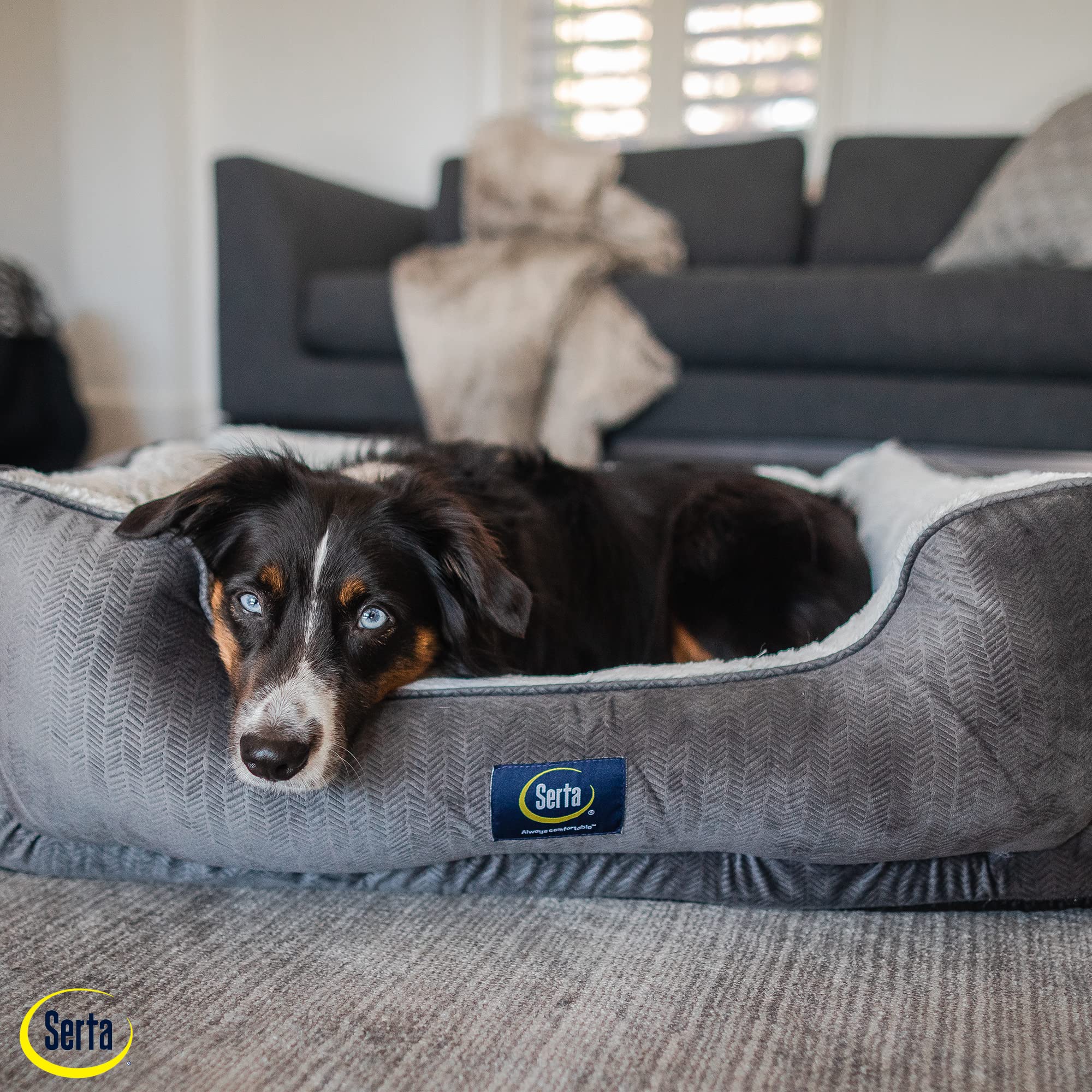 Serta Orthopedic Cuddler Dog Bed For Pets - Slate Gray (Large)