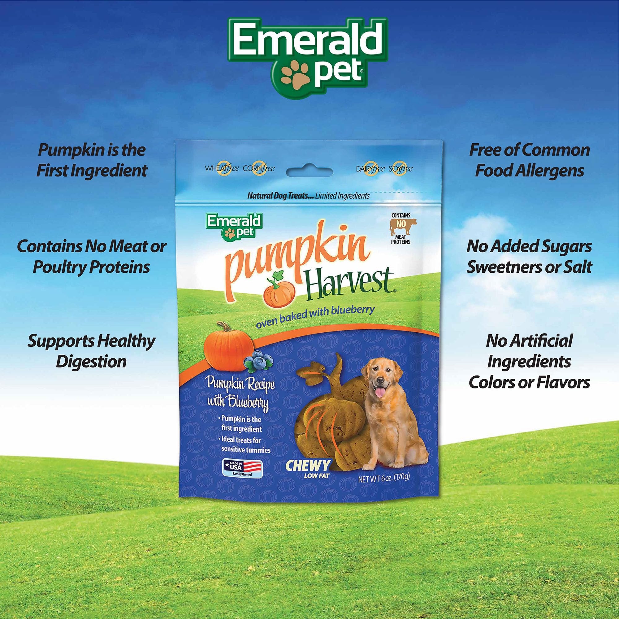 Emerald Pet Pumpkin Harvest Dog Treats - Low-Fat Chewy Natural Dog Treats with Pumpkin for Digestive Health - Meat Free, Poultry