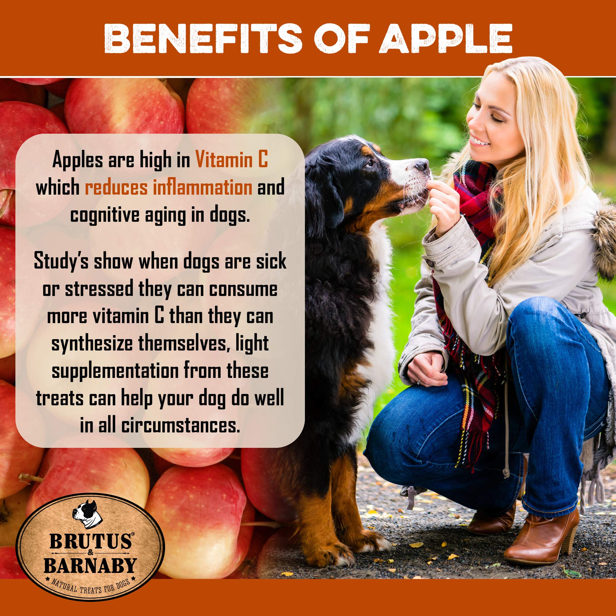BRUTUS & BARNABY USA Sweet Potato Dog Treats - Crunchy Grain Free Cinnamon Apple Sticks, Promotes Positive Gut Health with Natur