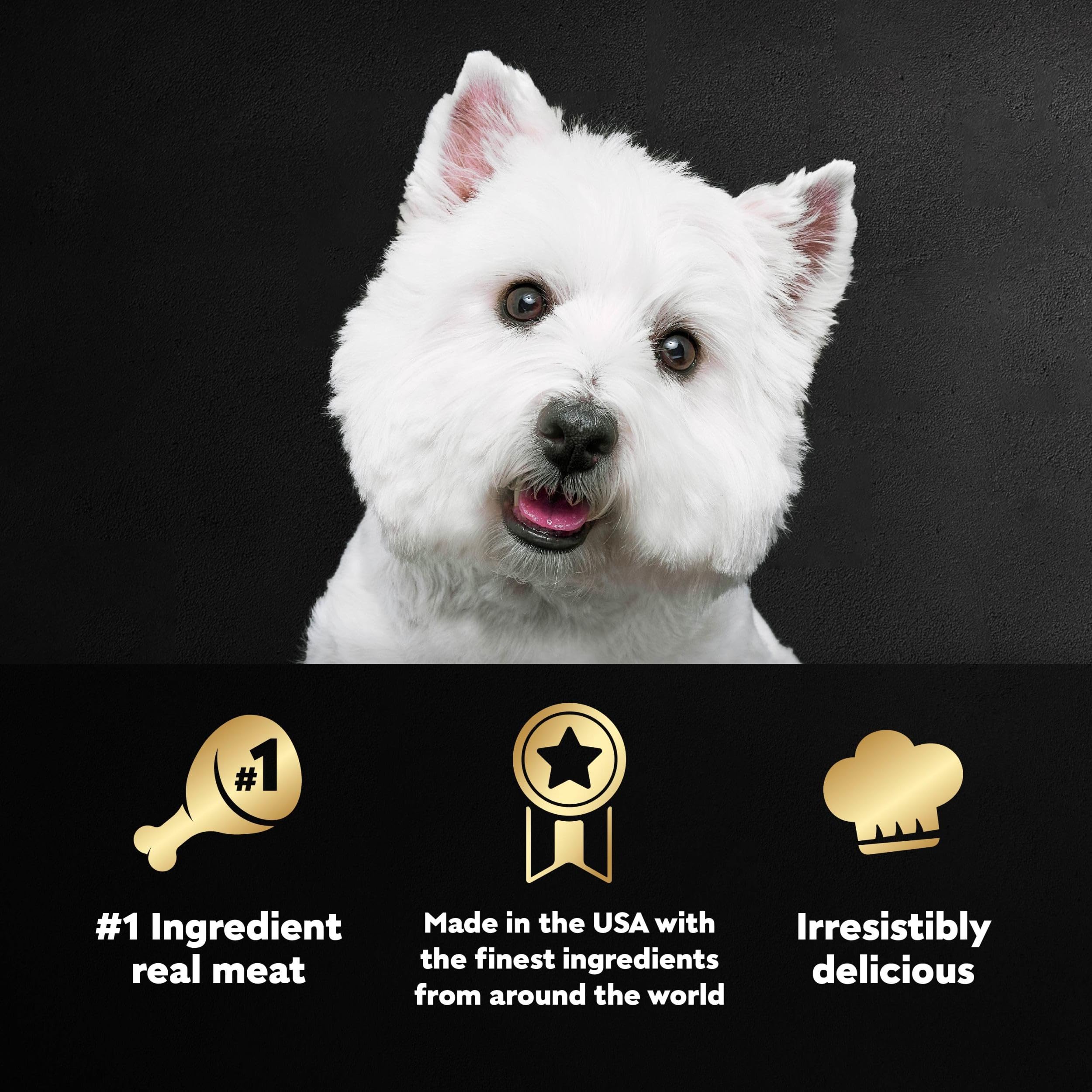 Cesar Wet Dog Food Loaf in Sauce Beef Recipe, 3.5 oz. Easy Peel Trays (24 Count, Pack of 1)