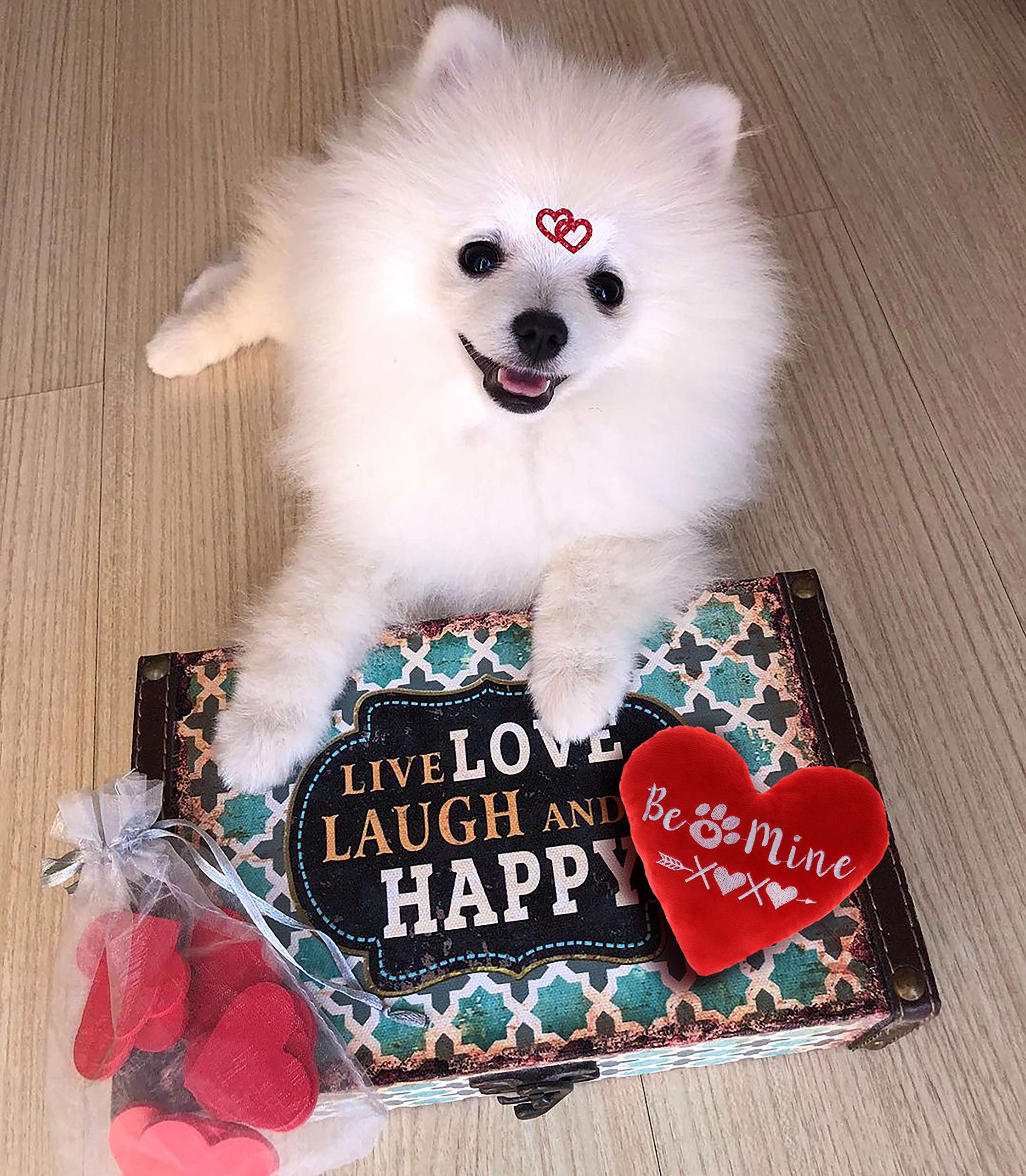 Boombone Valentines Dog Toys, Red Heart Puppy Plush Toy For Small Medium Dogs