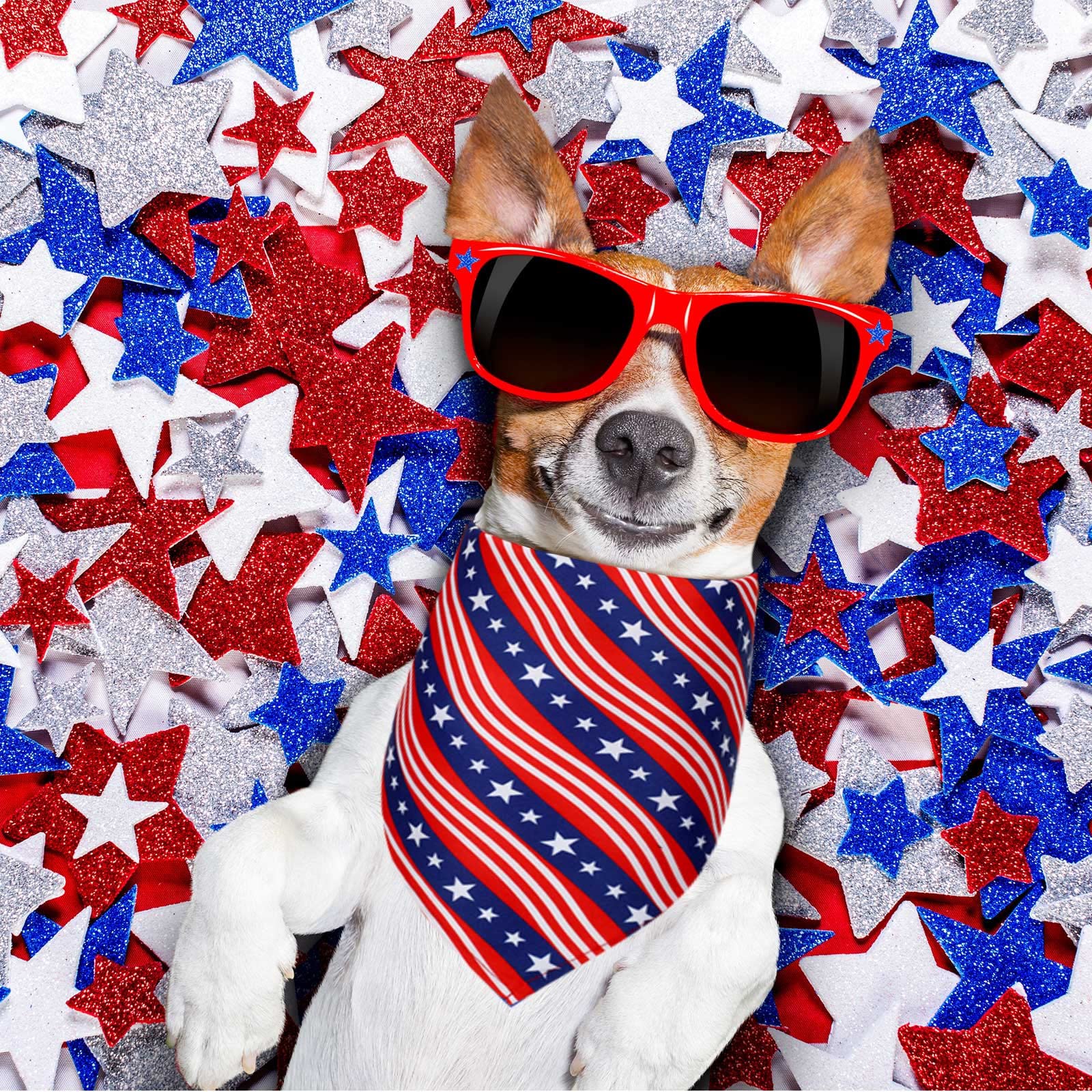 Sadnyy 40 Pcs Memorial Day Dog Bandana Bulk Patriotic American Flag Star Stripe Adjustable Bandana For Dogs 4Th Of July Puppy Ke