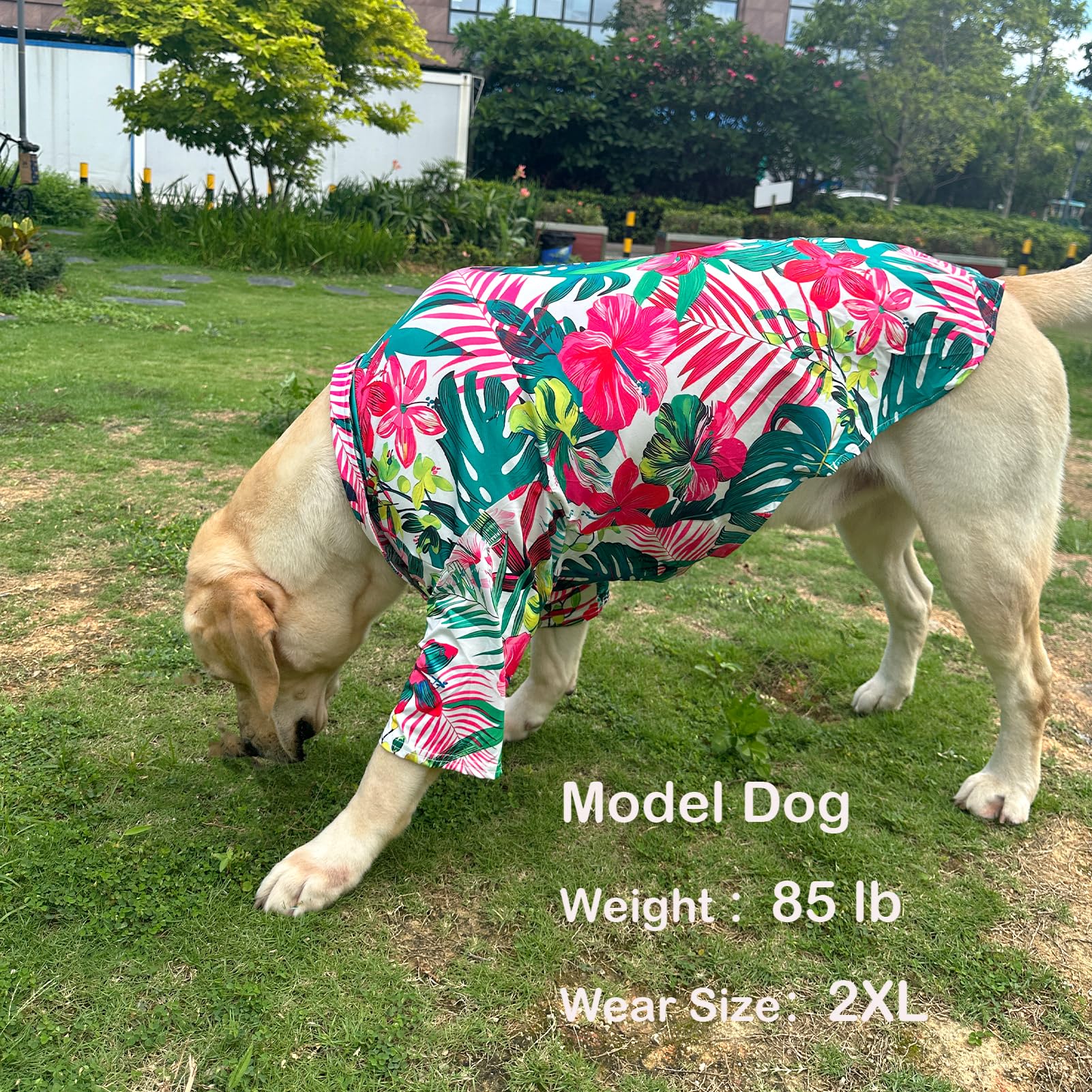 Pripre Hawaii Dog Shirt Colorful Flower Printed T-Shirt Breathable Cool Shirt Summer Beach Style Dog Clothes Medium And Large Do