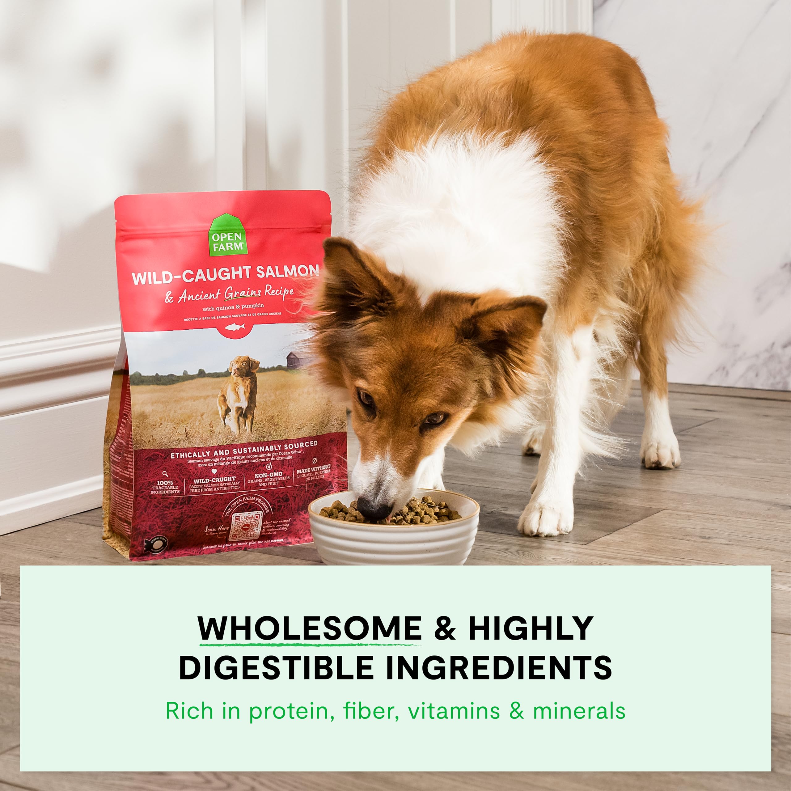 Open Farm, Ancient Grains Dry Dog Food for Puppies, Protein-Rich & Nutrient Dense, 90% Animal Protein Mixed with Non-GMO Fruits,
