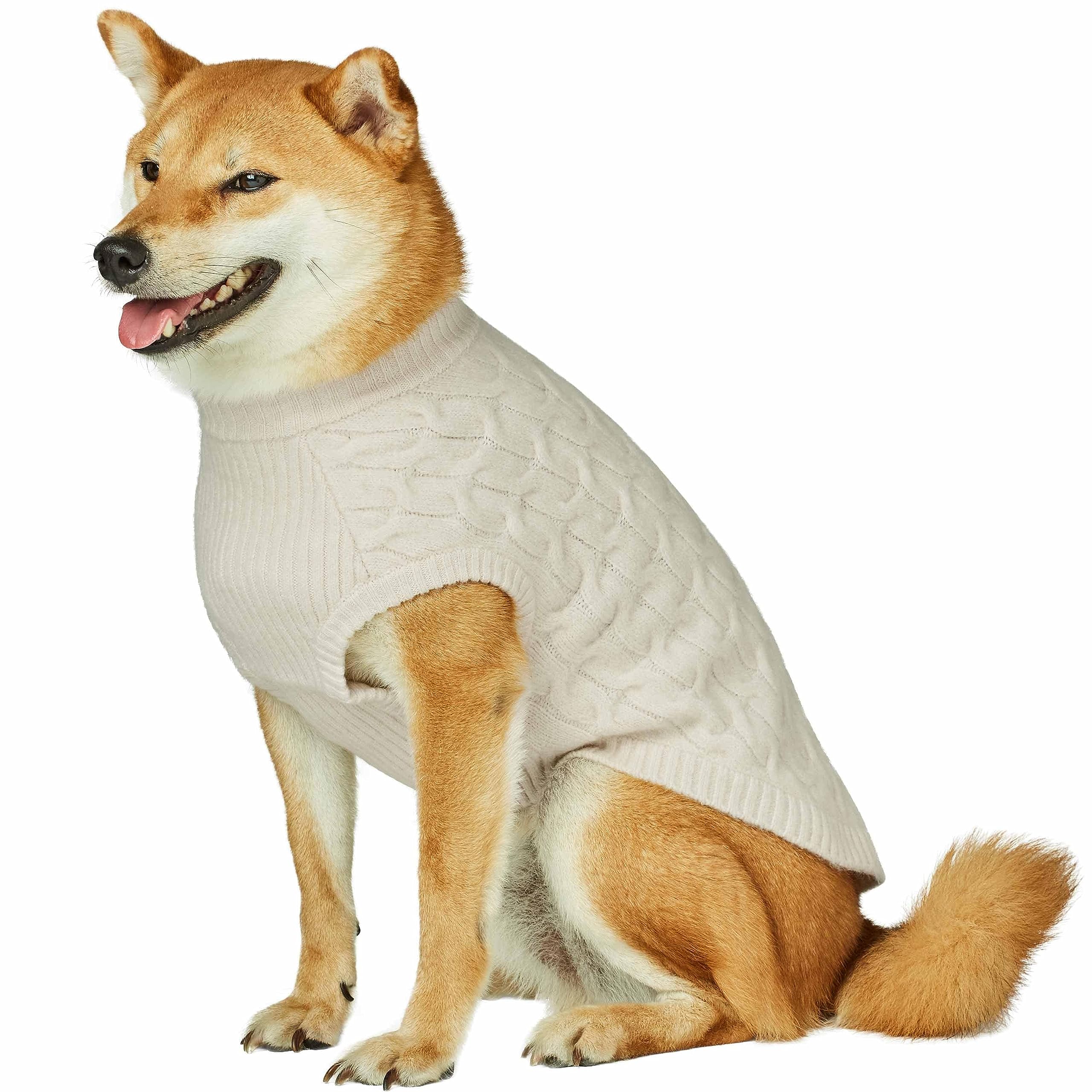Blueberry Pet Classic Fuzzy Textured Knit Pullover Crew-Neck Dog Sweater in Ivory, Back Length 20'', Pack of 1 Clothes for Dogs