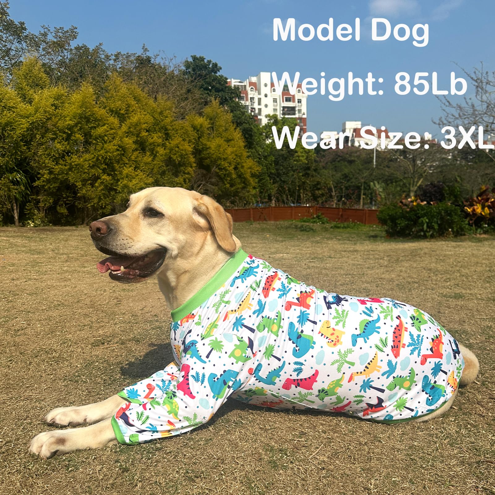 Dogs T Shirt Colorful Dinosaur Prints Dogs Green Shirt Soft Stretchy Summer Clothes for Large Dog Boys Girls Shirt Large Green D