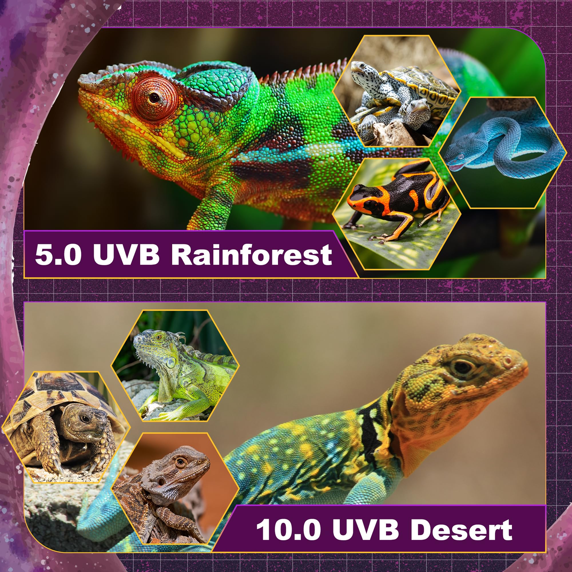 T5 Ho Uvb Lighting Combo Kit, 8W Reptile Light Fixture With Fluorescent Light Bulbs, Tropical 5.0 Uvb Light For Reptiles And Amp