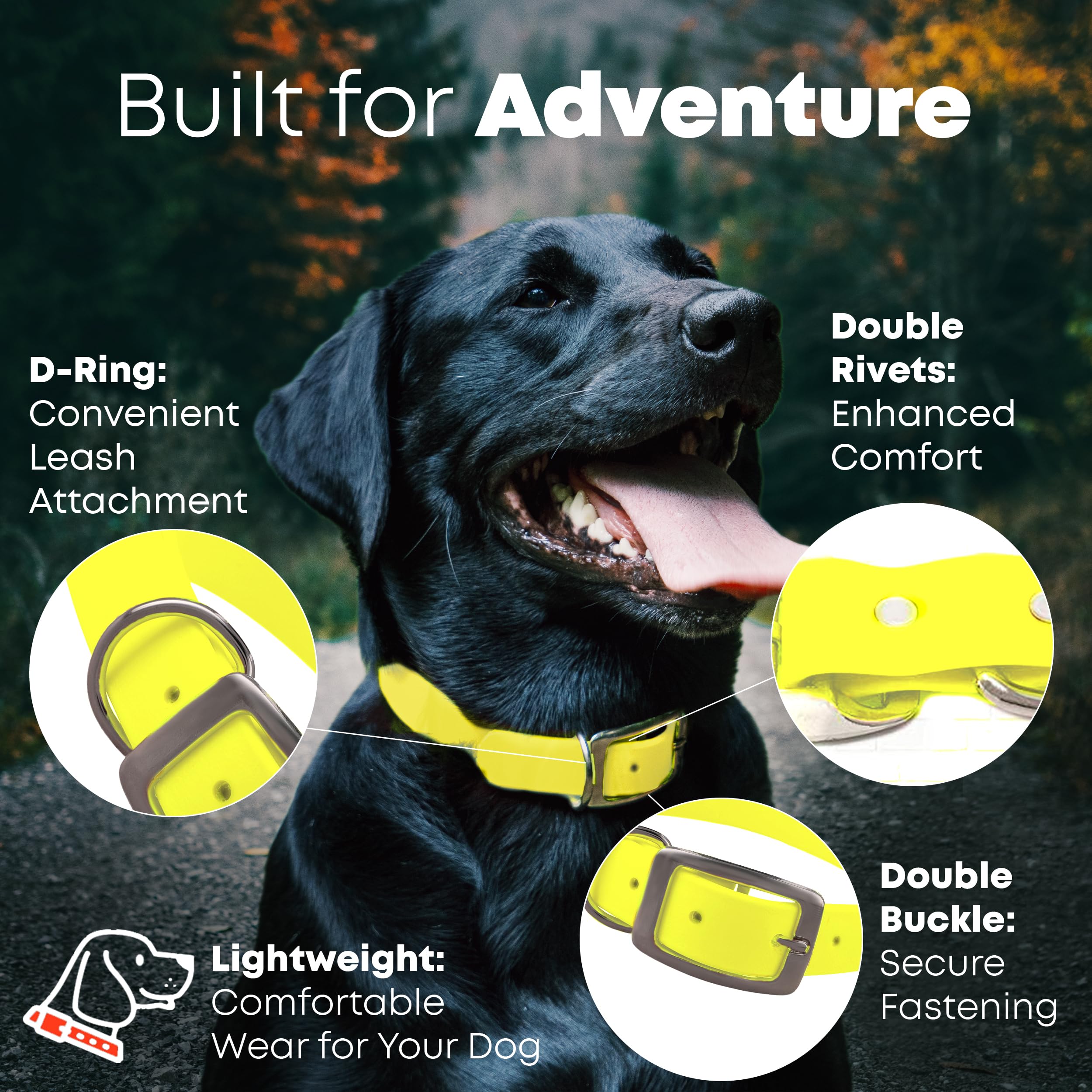 Regal Dog Products Large Yellow Waterproof Dog Collar and Leash Set | Heavy Duty Double Buckle & D Ring - 5'ft Leash | Adjustabl