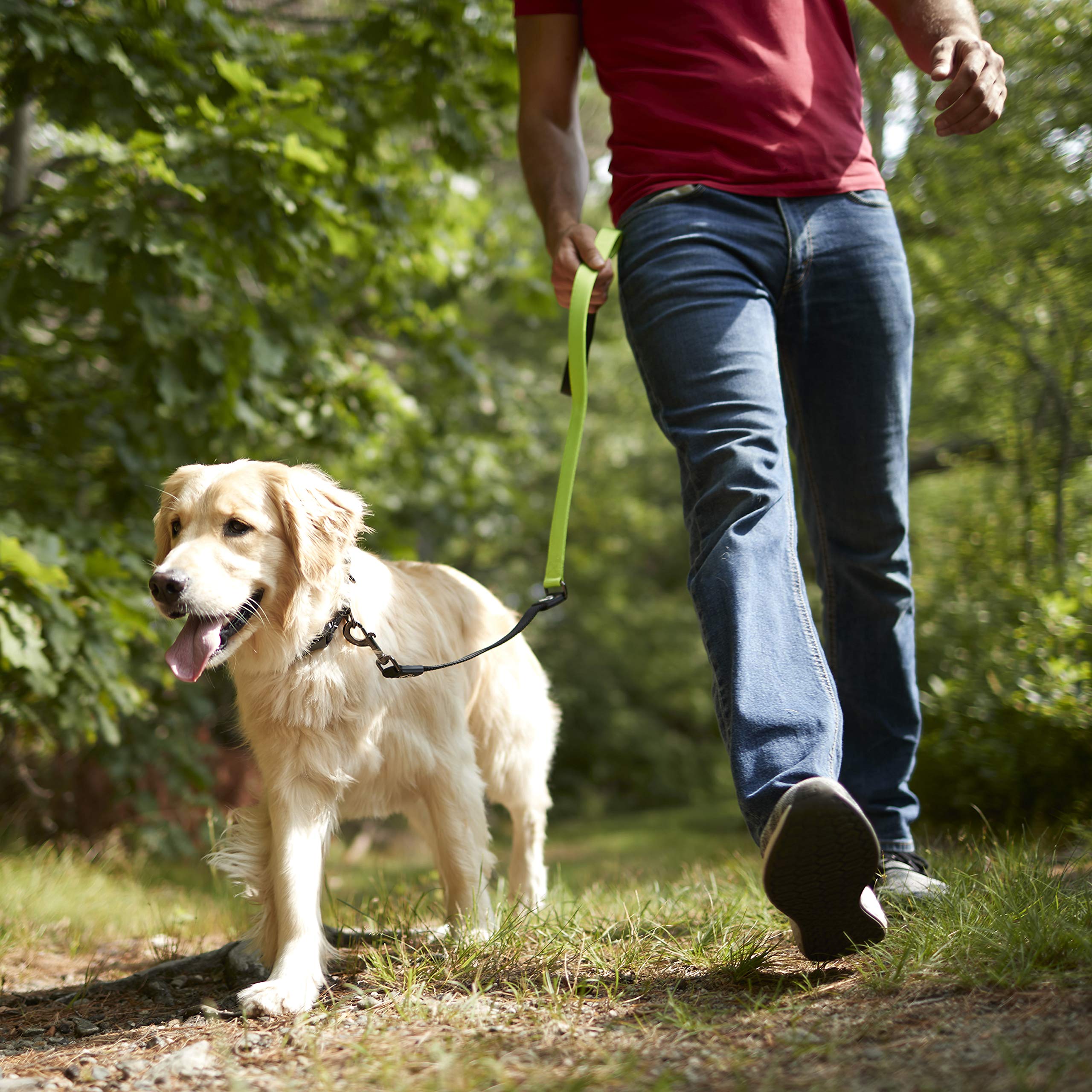 Franklin Sports Pet Supply - Nylon Dog Leash - Comfort - Neoprene Handles- Shok-Tek Bungee System - 4 Foot - Dog Training - Walking