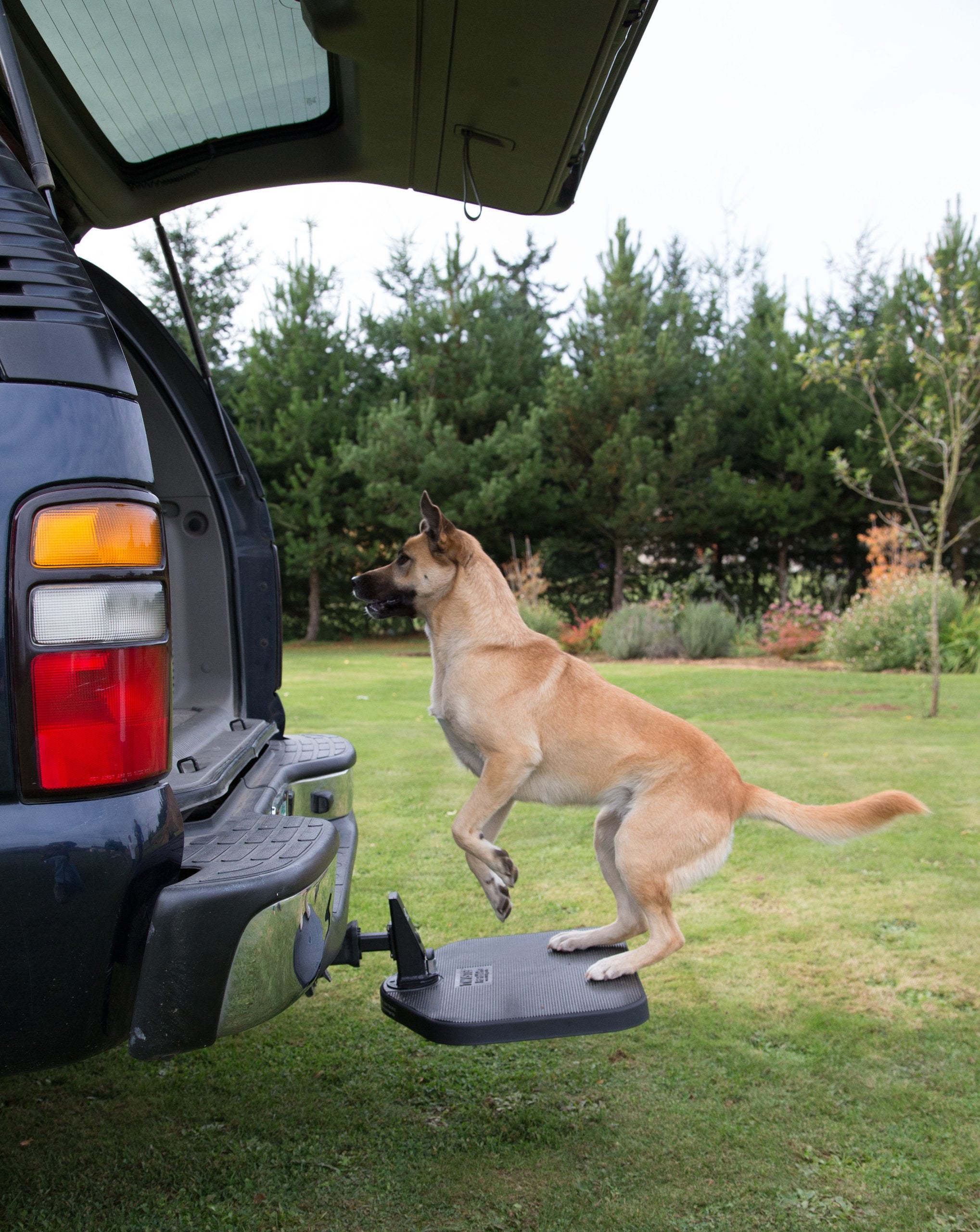 Heininger PortablePET Twistep Dog Hitch Step, Alloy Steel, SUV Size, Black, Model 3052