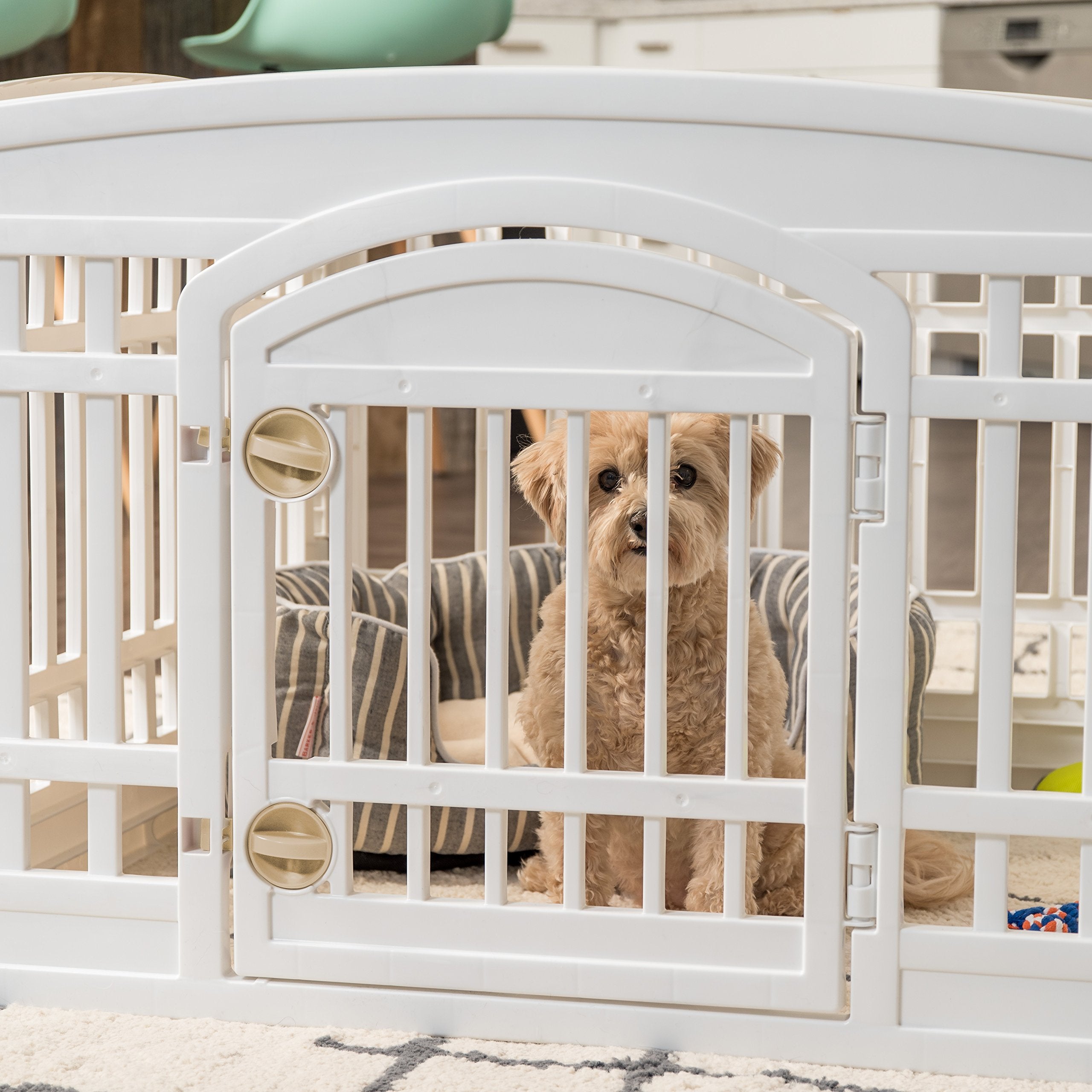IRIS 24" 6-Panel Dog Playpen with Door, Plastic, White, Easy Assemble, Model 586685