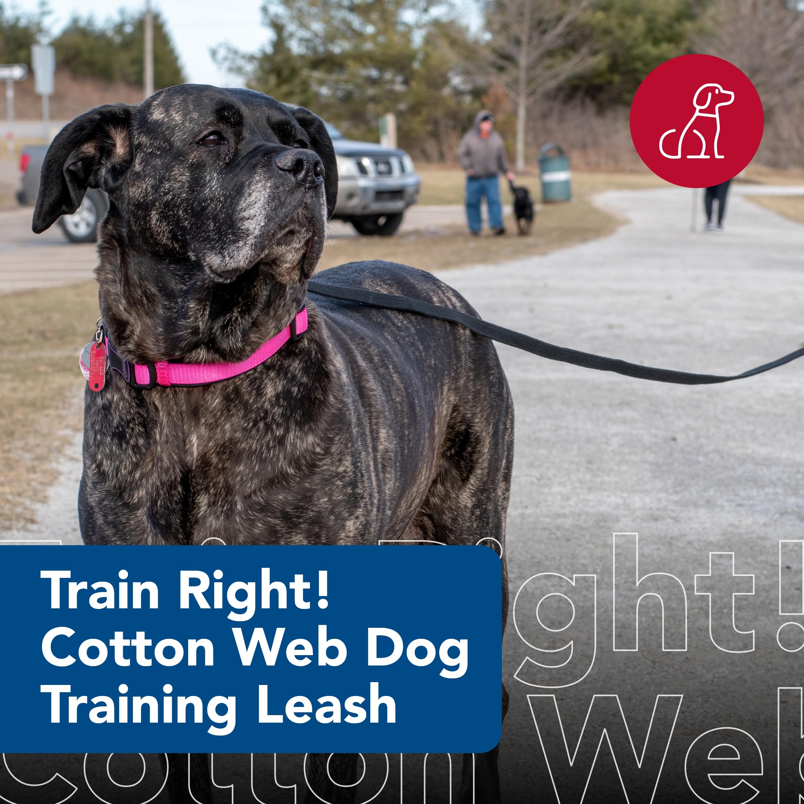 Coastal Pet Train Right Cotton Web Dog Training Leash - 100% Cotton - Durable Dog Walking Leash - For Puppies - Quality Training Supplies - Black, 5/8' X 10'