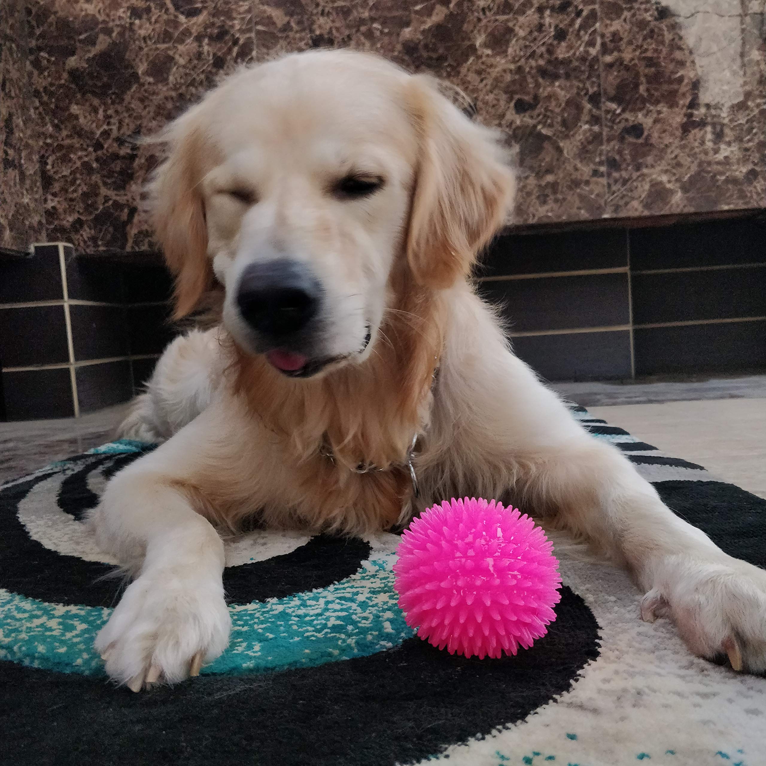 Petlicious & More Dog Spike Ball Dog Toy Chew Toy Chew Dog Toy BallPink