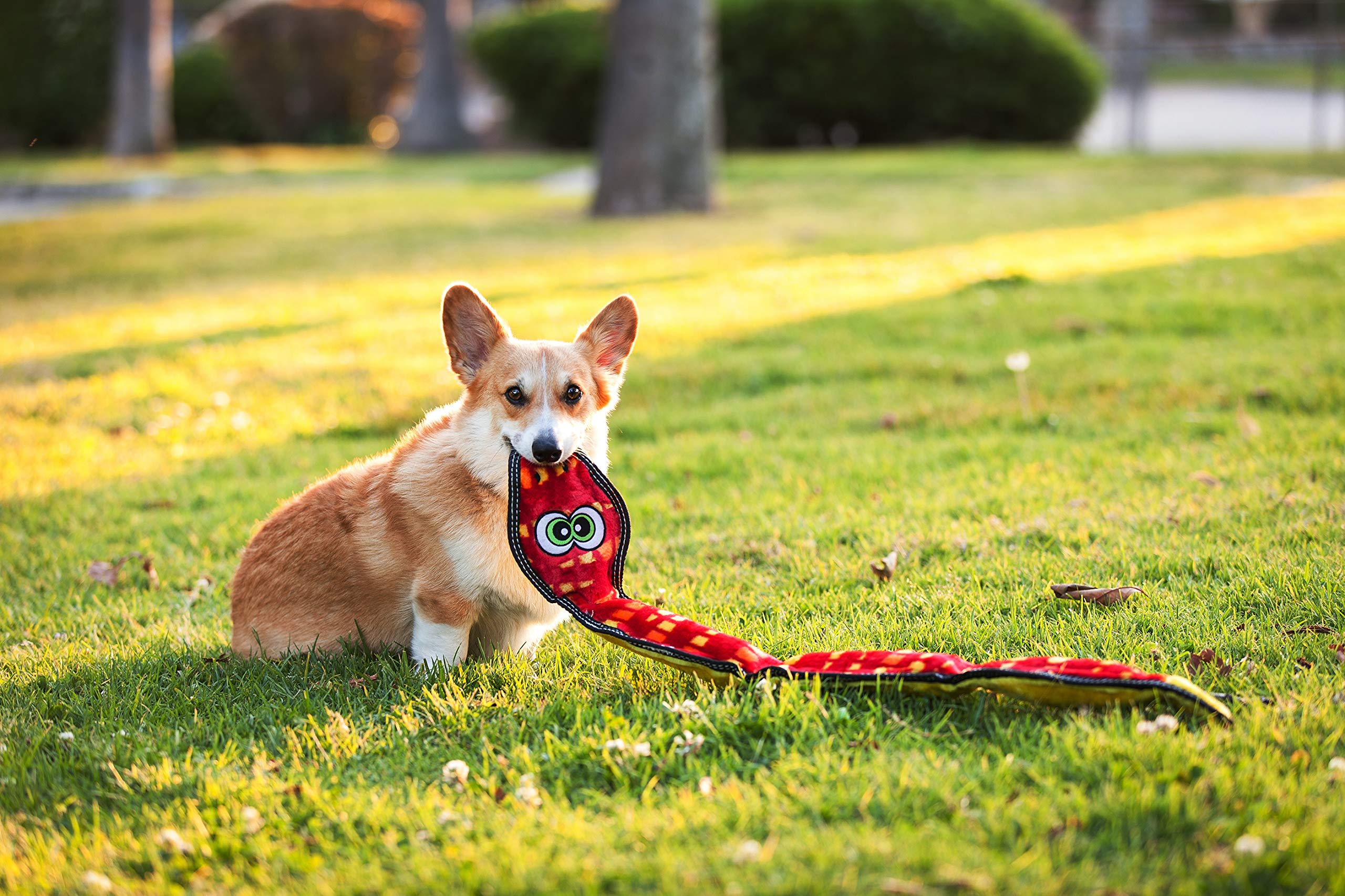 Outward Hound Tough Seamz Snake Plush Dog Toy, XL