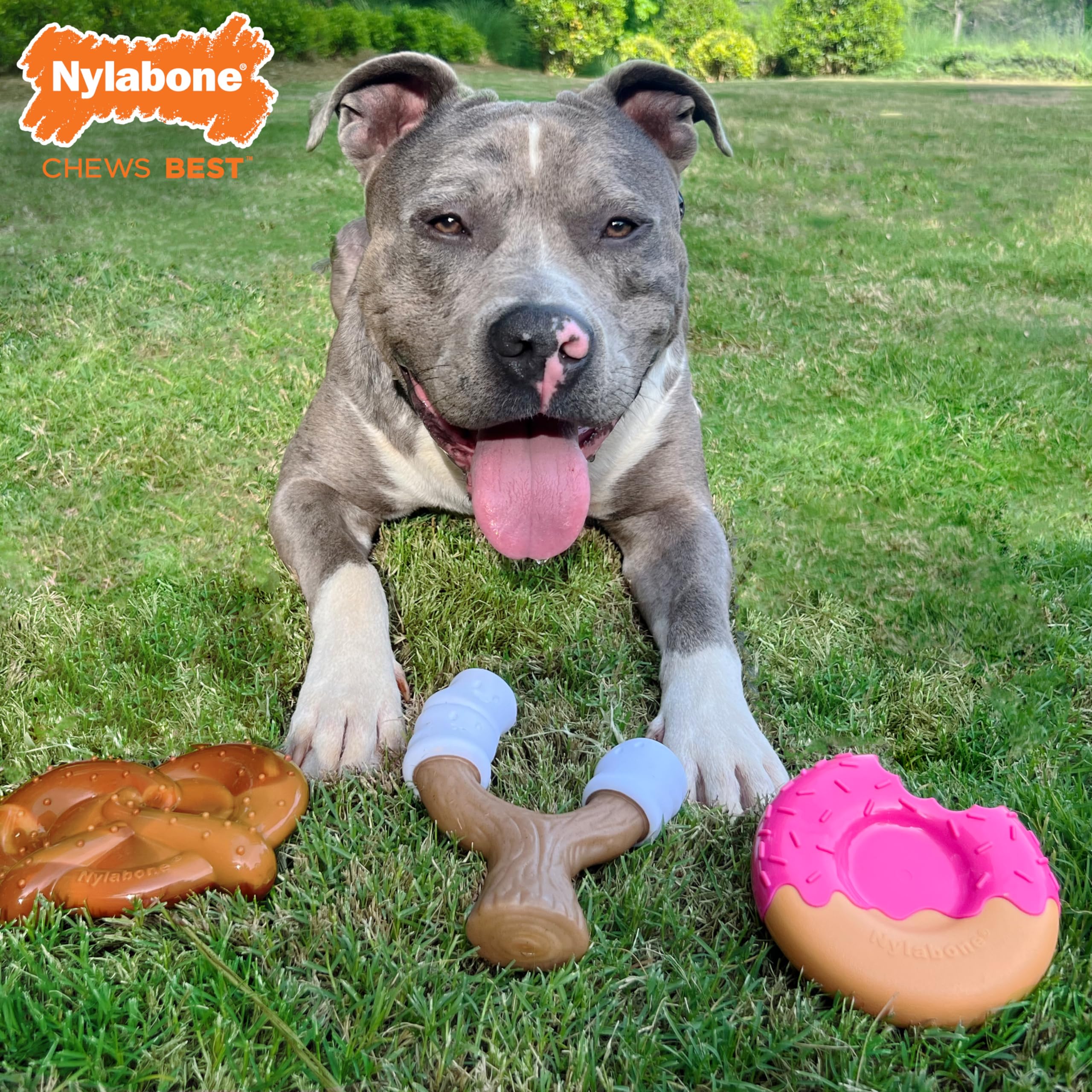 Nylabone Power Chew Toy Bundle, Cute Dog Toys for Aggressive Chewers, Bacon Glazed, Toasted Marshmallow, and Peanut Butter Flavo
