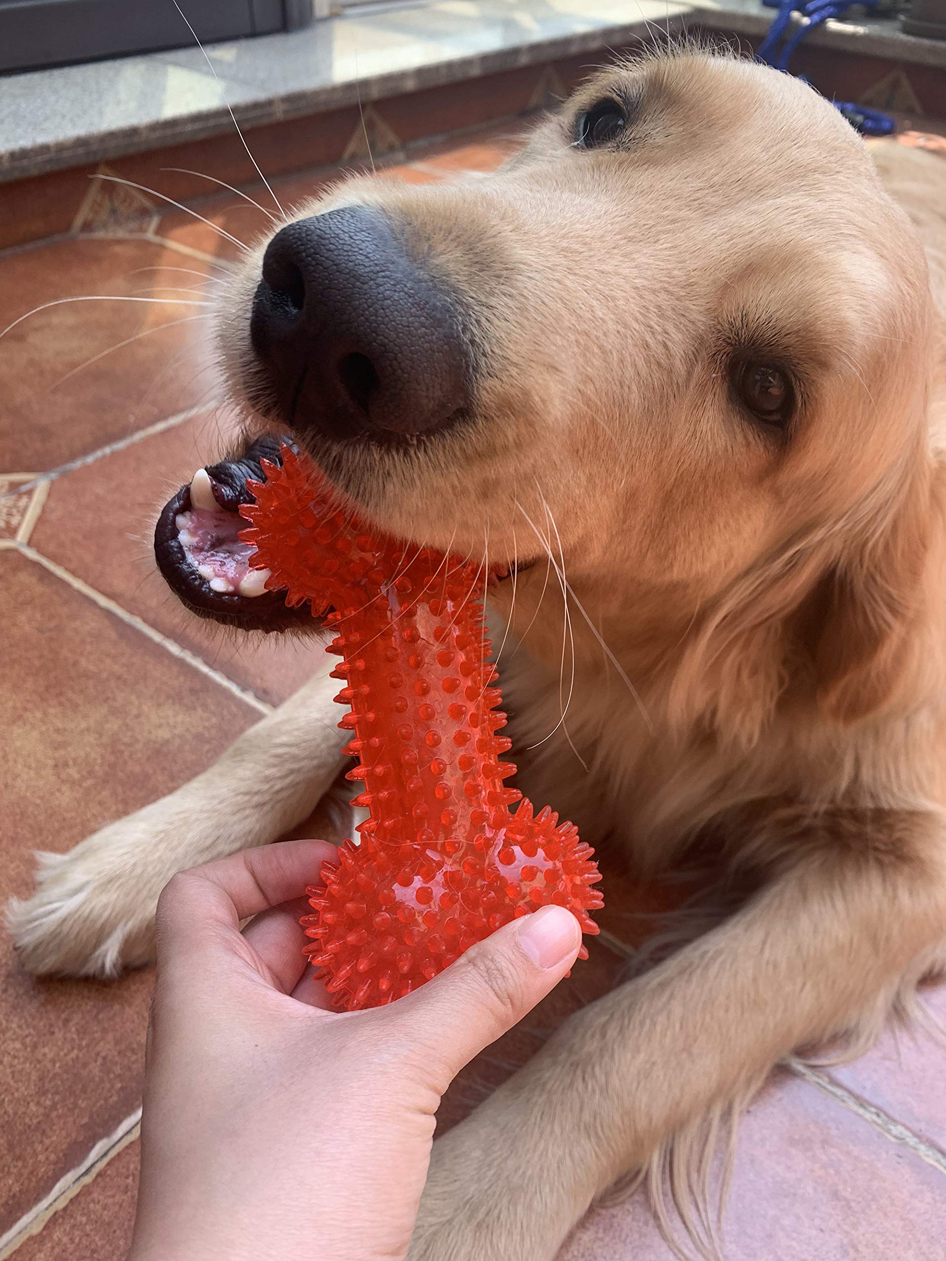 Dog Squeaky Toys Value Set Non-Toxic Dog Squeaky Balls for Dogs Toss Fetch Toys for Dogs TPR Rubber Puppy Toys Spikey Dog Chew T