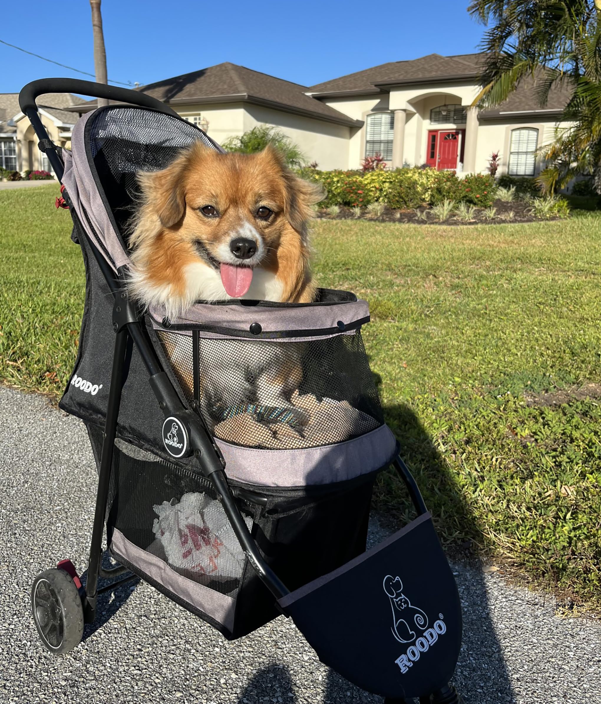 ROODO Escort 3 Wheel Dog Cat Pet Stroller for Small/Medium Dogs Cats Best Lightweight Foldable Portable Compact Jogger All Terra
