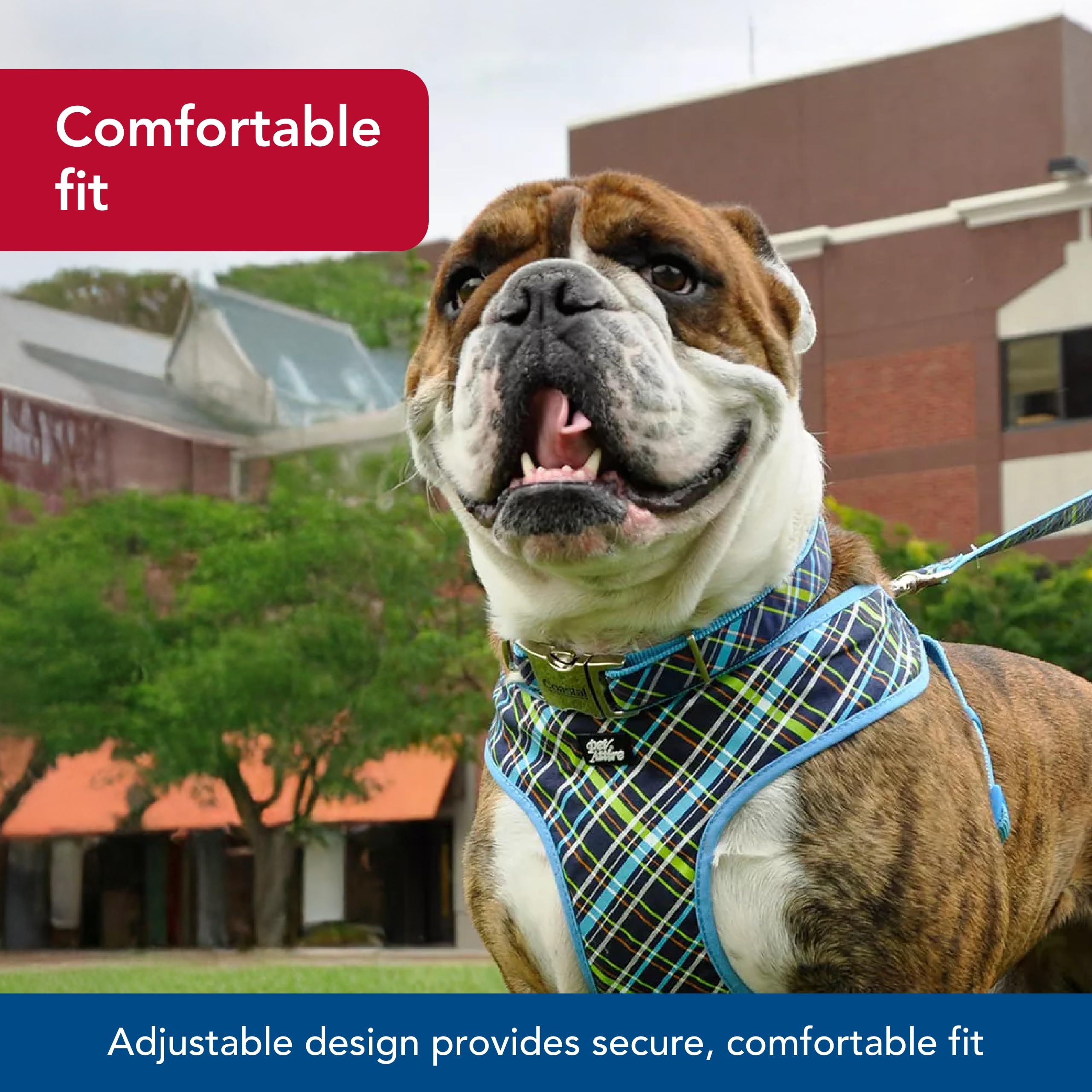 Coastal Pet - Ribbon - Adjustable Dog Collar With Metal Buckle, Brown Paws And Bones, 5/8' X 12'-18'