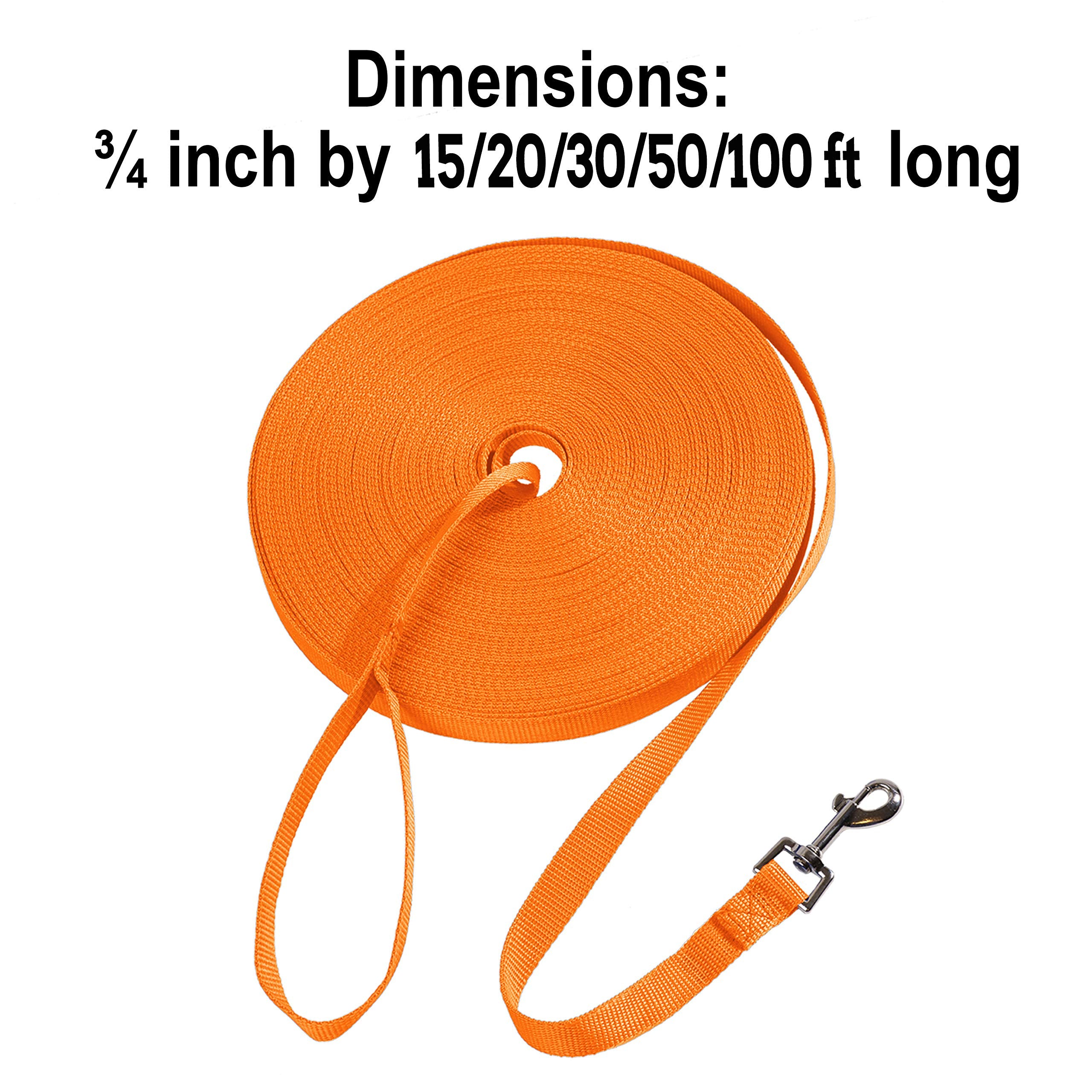 Hi Kiss Dog/Puppy Obedience Recall Training Agility Lead - 15Ft 20Ft 30Ft 50Ft 100Ft Training Leash - Great For Training, Play, Camping, Or Backyard - Orange 50Ft