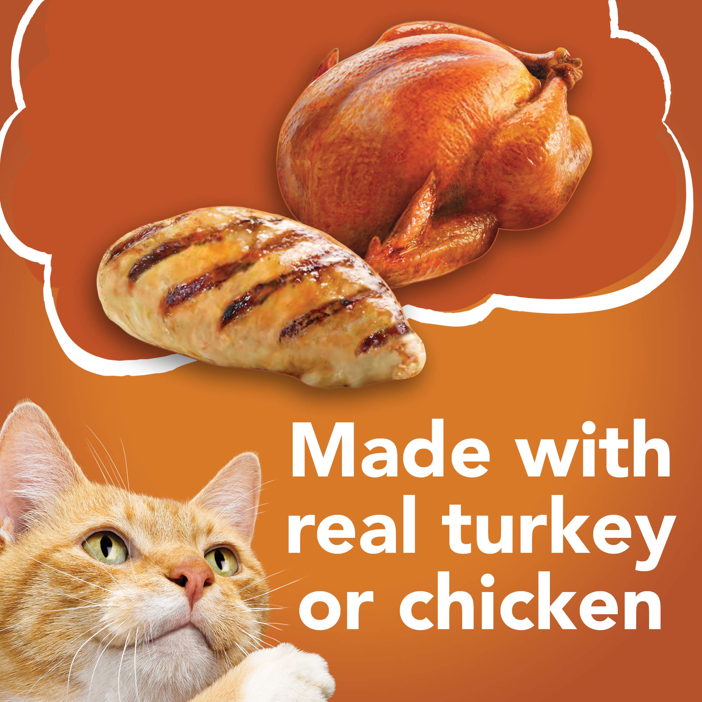 Purina Friskies Gravy Wet Cat Food Variety Pack, Prime Filets & Shreds Turkey & Chicken Favorites - (40) 5.5 oz. Cans