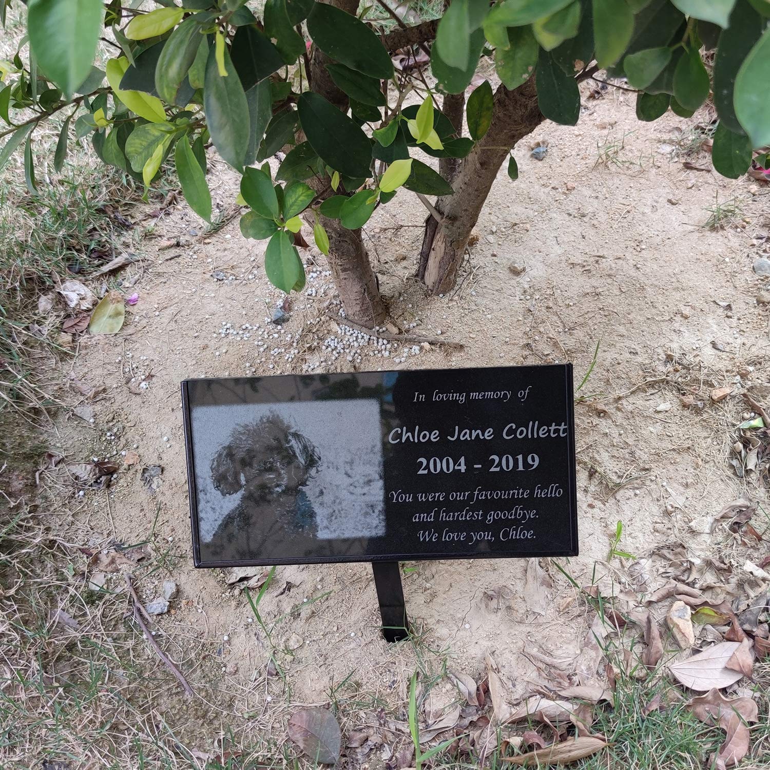 WAQL Grave Marker Stand for 6x 12 Stones, Memorial Stones for Loved One
