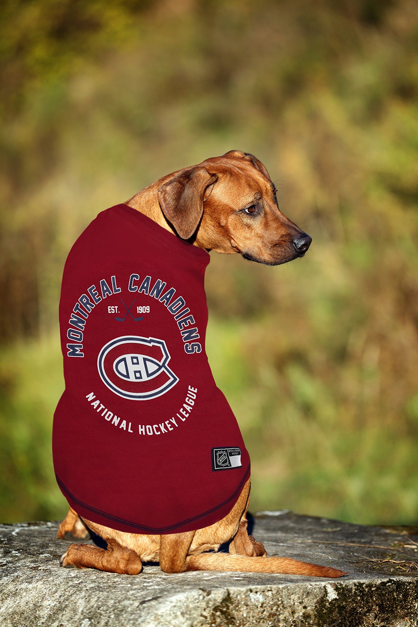 NHL Montreal Canadiens Tee Shirt for Dogs & Cats, Medium. - Are You A Hockey Fan? Let Your Pet Be An NHL Fan Too!