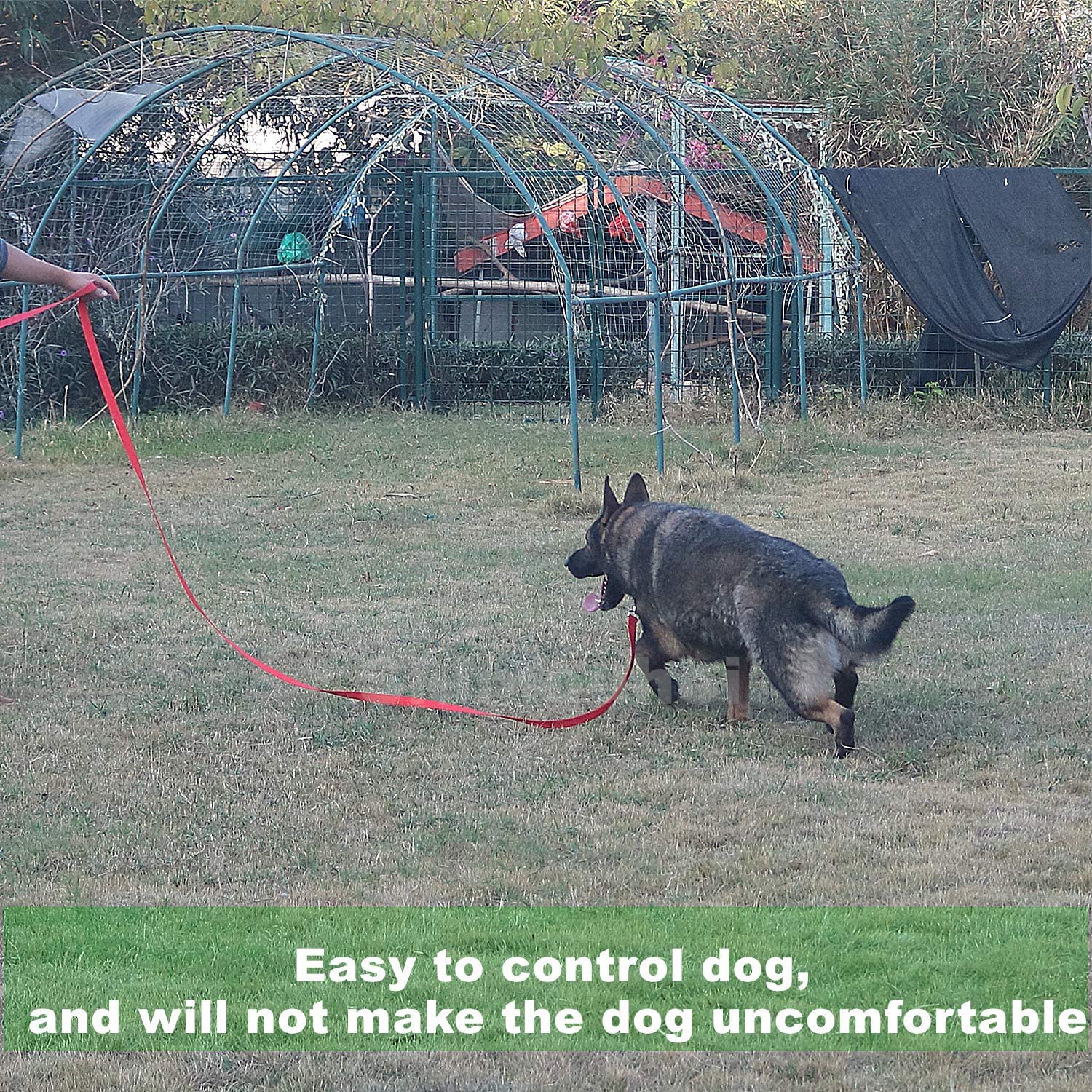 Siumouhoi Strong Durable Nylon Dog Training Leash, 1 Inch Wide Traction Rope, 6 Ft 10Ft 15Ft Long, For Small And Medium Dog (Black, 10 Feet)