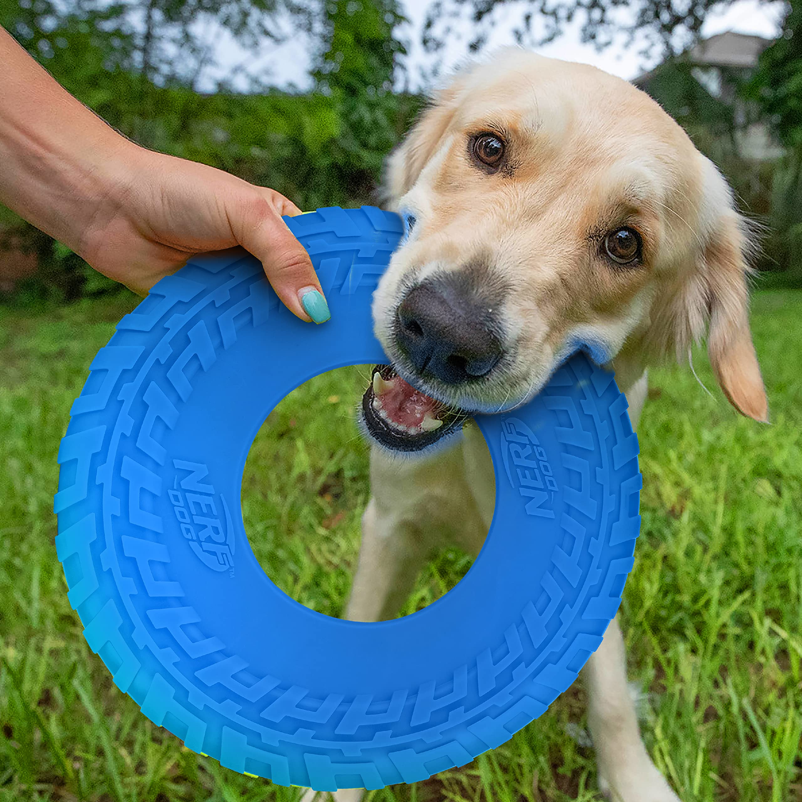 Nerf Dog Tire Flyer - 10" Blue Rubber Flying Disc Toy for Medium & Large Dogs, Model 2864
