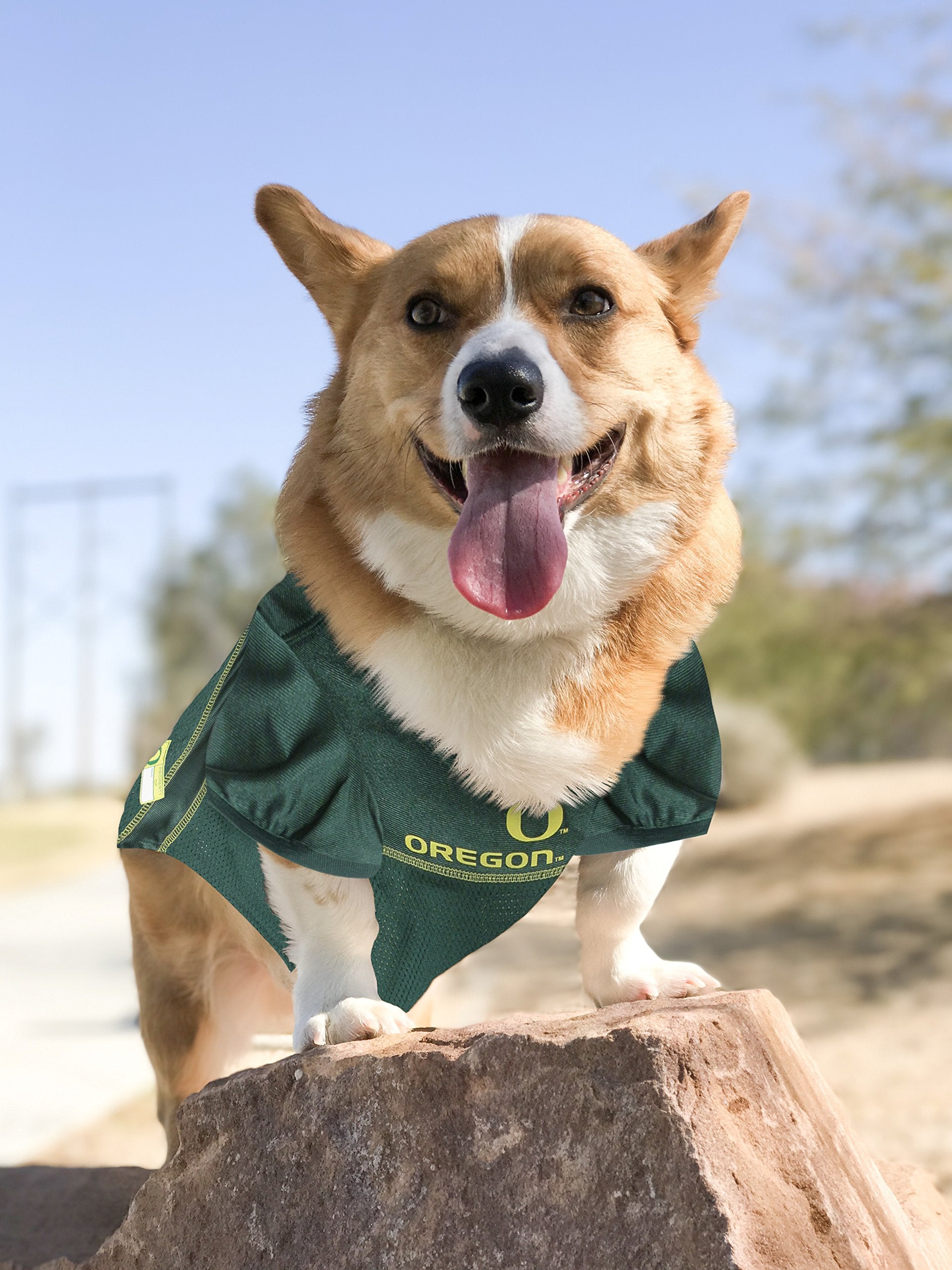 Pets First NCAA College Oregon Ducks Mesh Jersey for DOGS & CATS, Medium. Licensed Dog Jersey with your Favorite Football/Basket