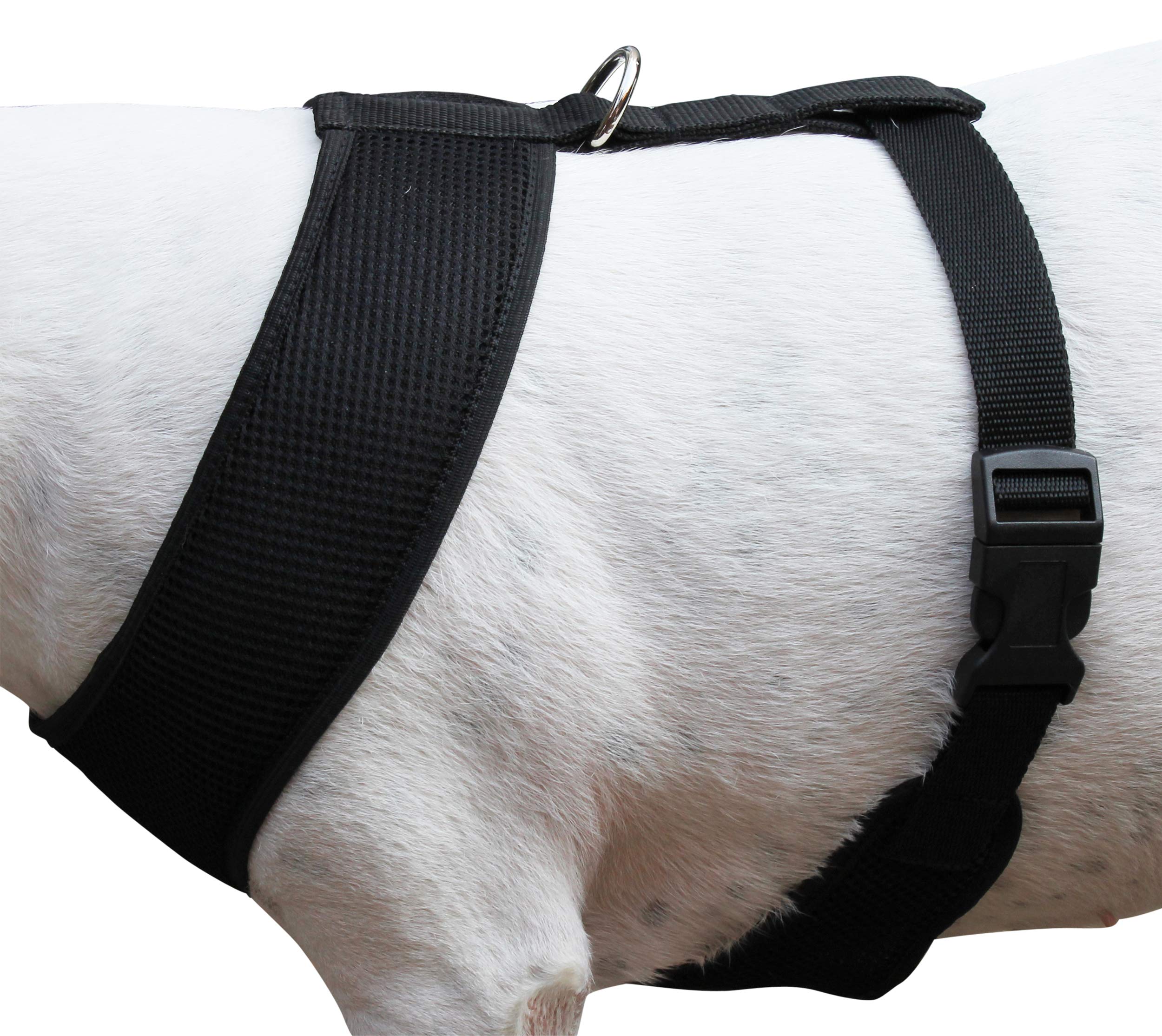 Dogs My Love Soft Mesh Walking Harness For Dogs And Puppies 6 Sizes Black (Xl (Neck Max: 17.5''; Chest Girth: 22''-27''))