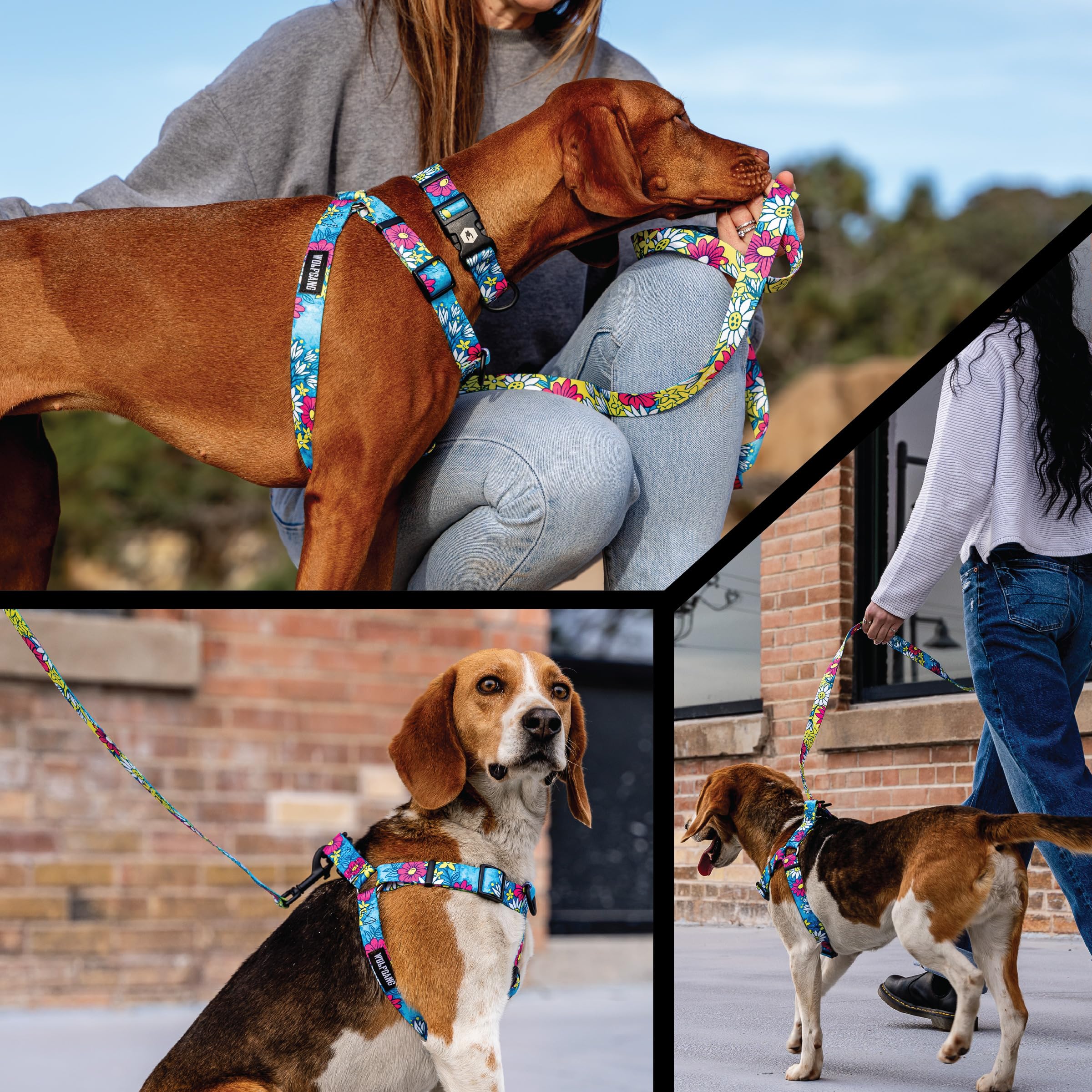 Wolfgang Heavy Duty Adjustable Dog Harness, Pull-Tested for Walking & Training, LazyDaisy Print, Medium