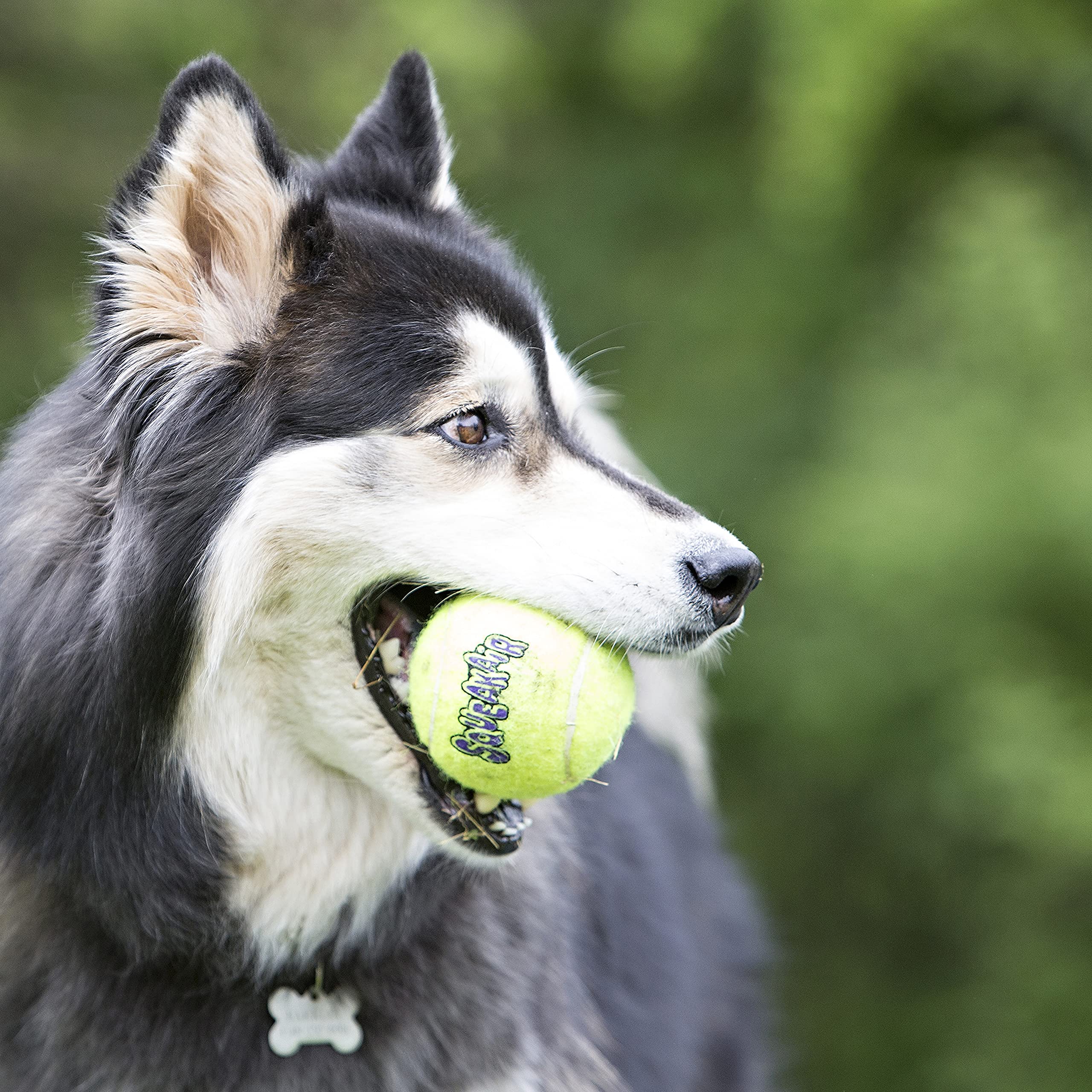 Kong - Squeakair Balls - Dog Toy Premium Squeak Tennis Balls, Gentle On Teethls - For X-Small Dogs (3 Pack)