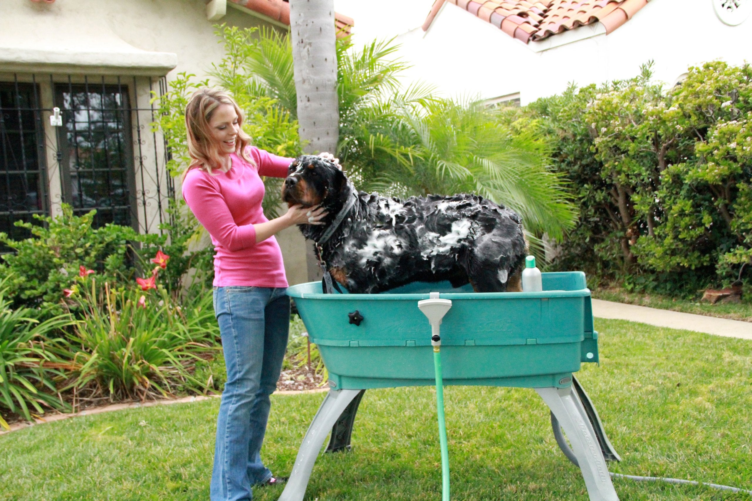 Booster Bath Elevated Pet Bathing, Teal, Large (Pack Of 1)