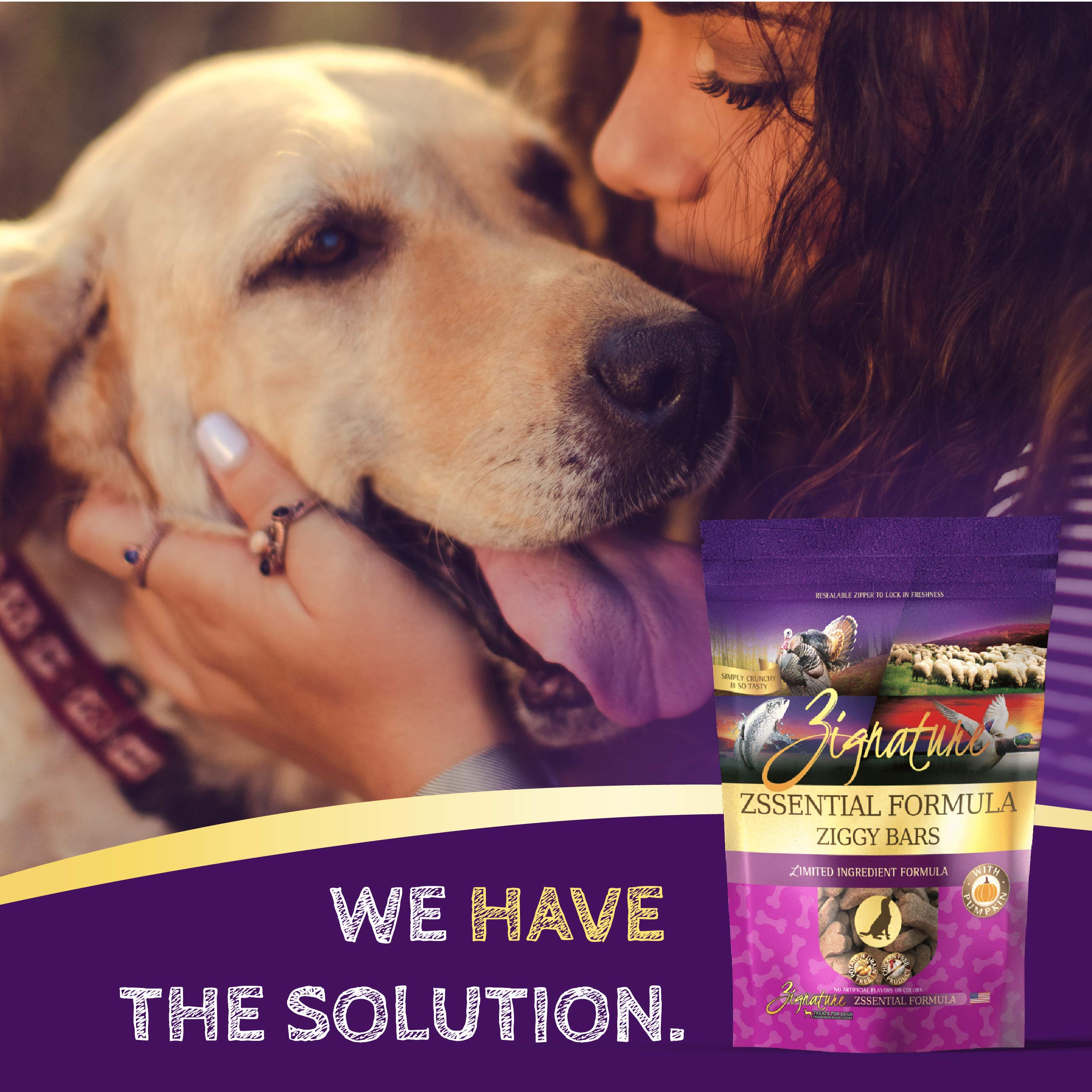 Zignature Zssential Limited Ingredient Formula Biscuit Dog Treat 12oz
