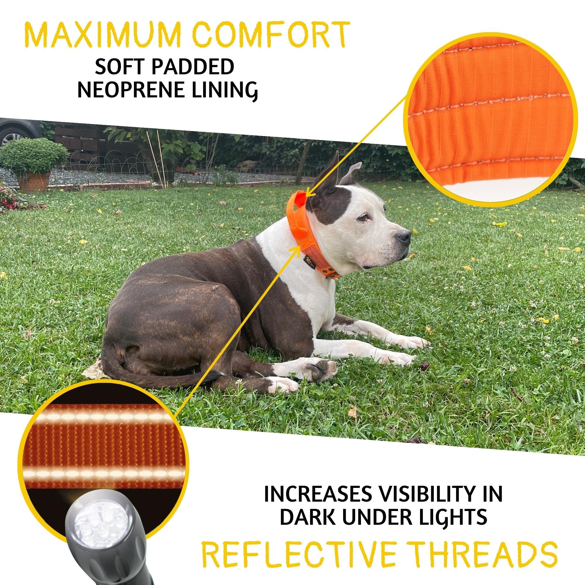 ADITYNA Heavy Duty Dog Collar - Extra-Large, Reflective Orange, Soft Neoprene Padded, Model TC2