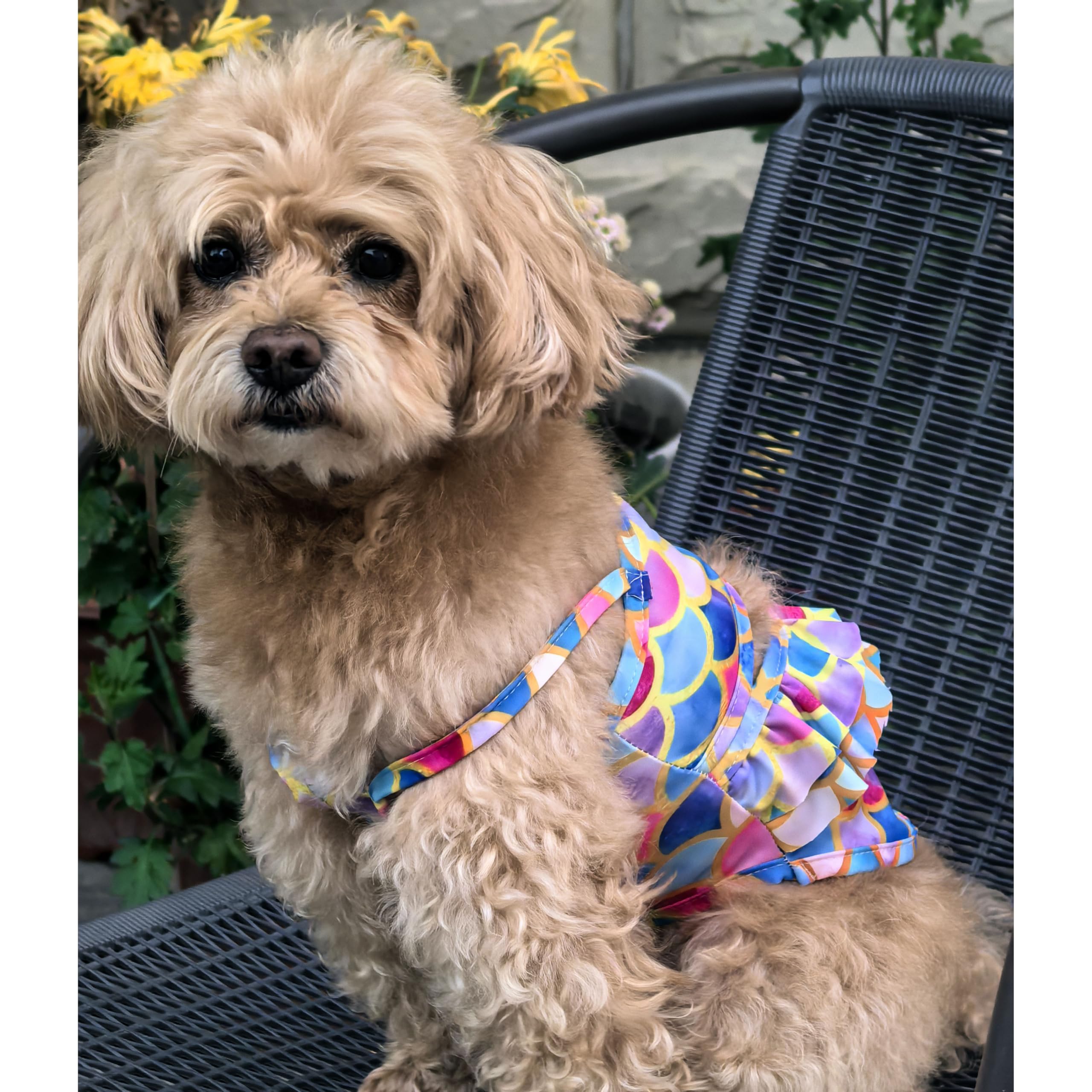 Funny Dog Swimwear Bikini Summer Dog Clothes Beach Swimsuit Puppy Bathing Suit Puppy Vest Cooling Pet Shirt For Small Dogs, Cat