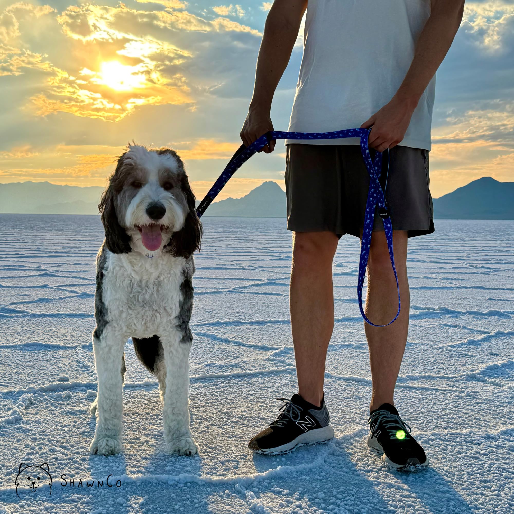 Shawnco Dream Walk Dog Leash- Premium, Nylon Pet Leash With Soft Neoprene Handle For Small, Medium And Large Dogs (Montana Daydr