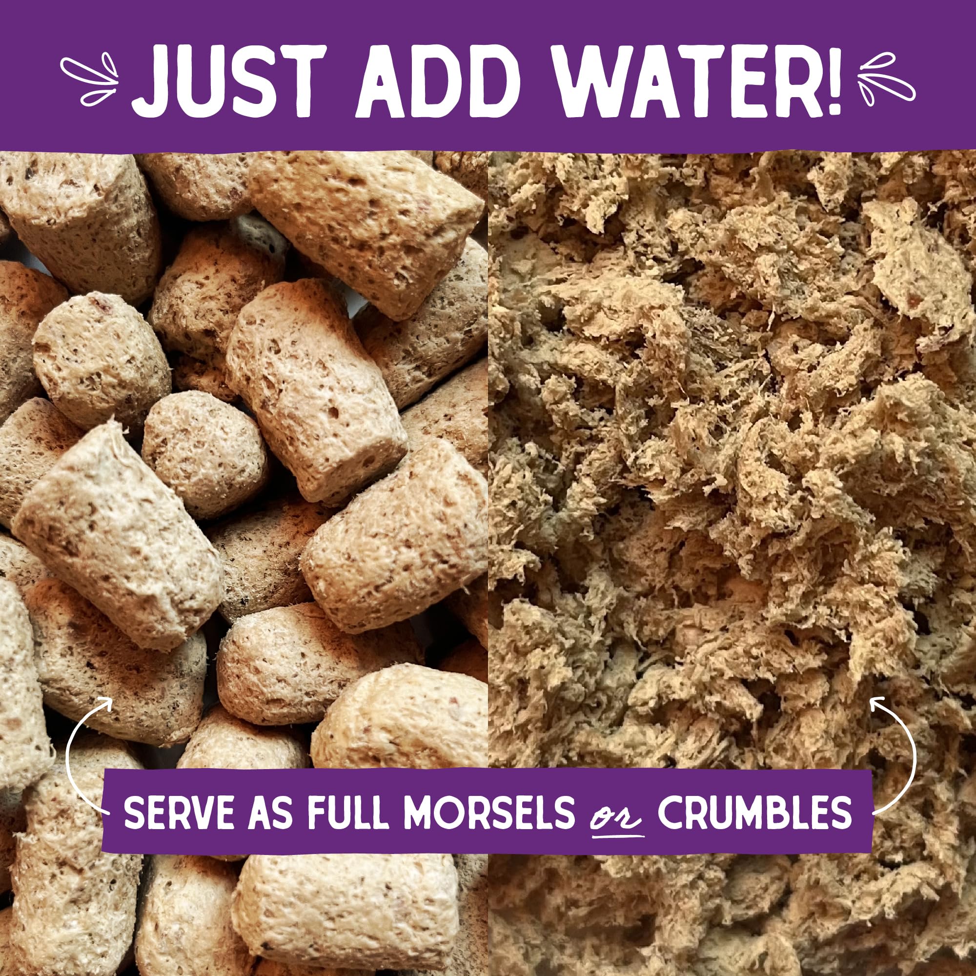 Stella & Chewys Freeze-Dried Raw Cat Dinner Morsels - Grain Free, Protein Rich Cat & Kitten Food - Plate Lickin Pork Recipe -