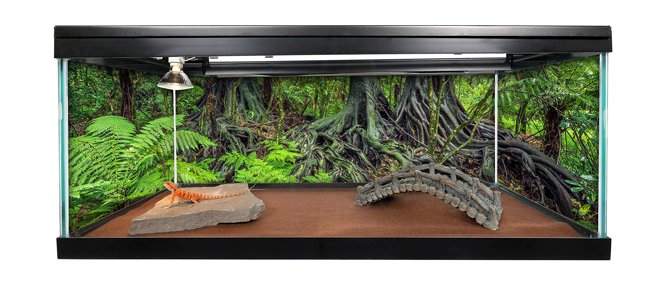 Carolinacustomcages Reptile Habitat Background; Rain Forest Ferns & Roots For 20L, 3-Sided Wraparound