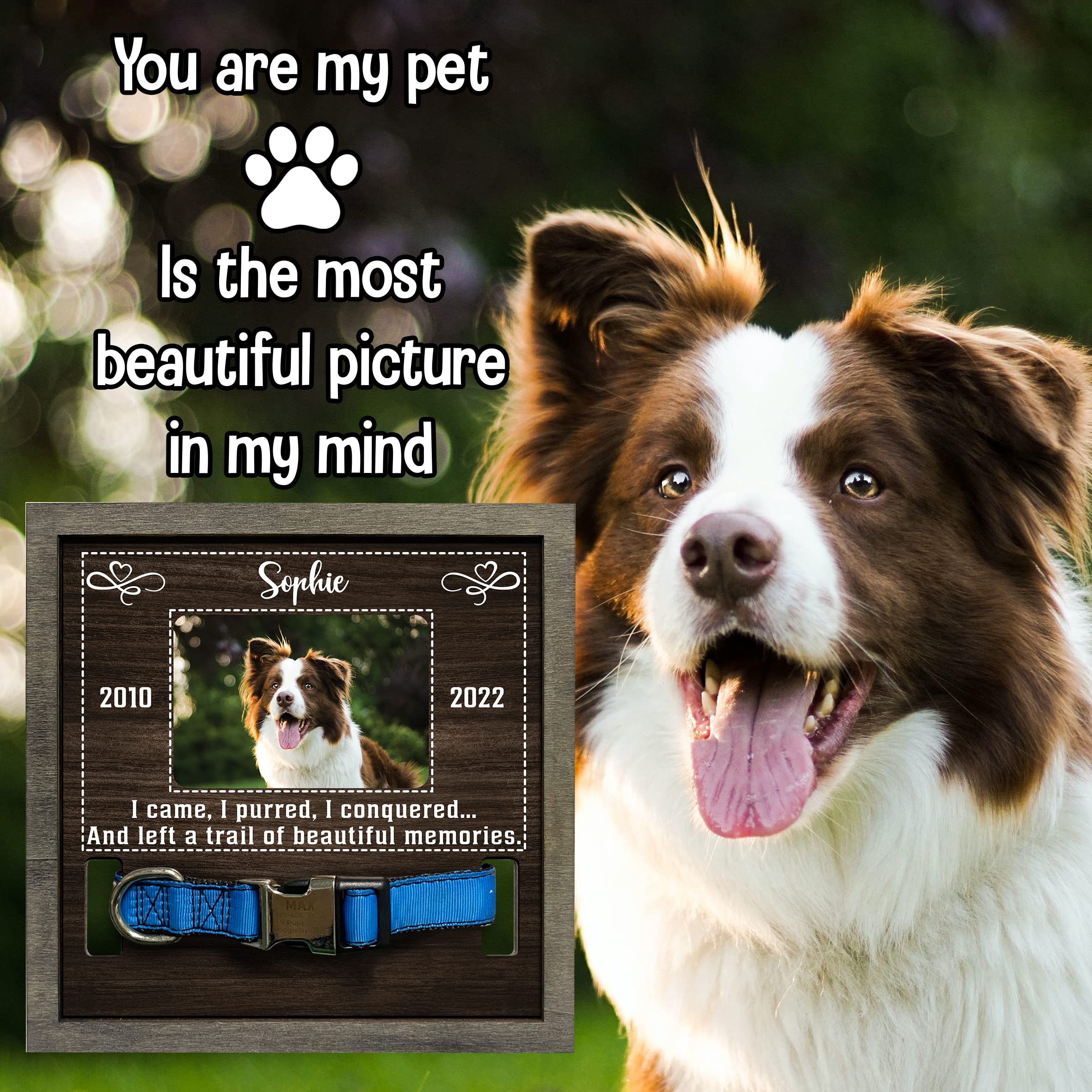 Bfigift Customized Dog Picture Frames For Dogs That Passed Personalized Dog Gifts For Pets Dog Memorial Frames Pet Photo Frames And Memorials Loss Of Dog Gifts Rainbow Bridge Pet Memorial Gifts