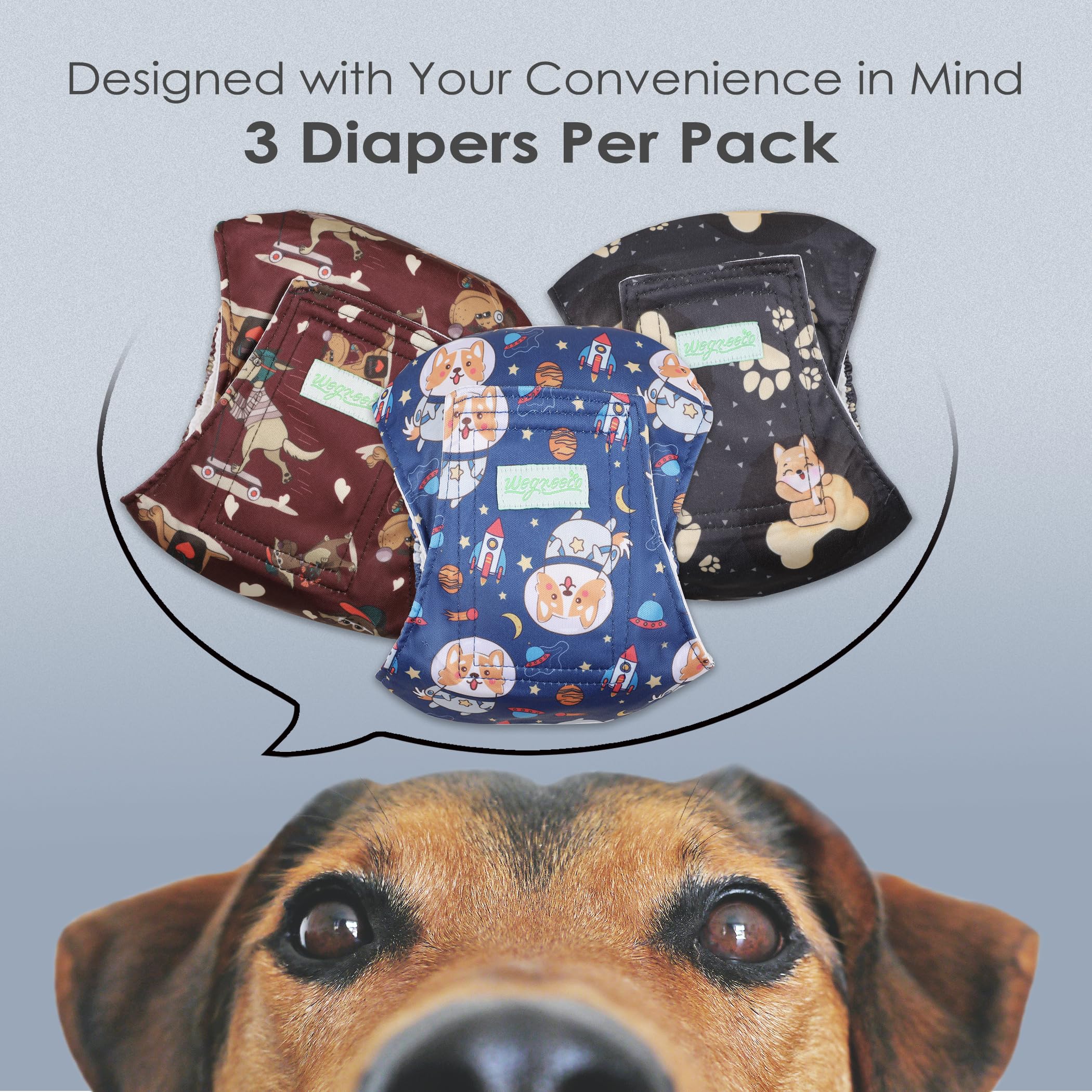 Wegreeco Washable Male Dog Belly Band (Stylish Pattern)- Pack Of 3 - Washable Male Dog Belly Wrap, Dog Diapers Male (Funny Dogs, X-Large)