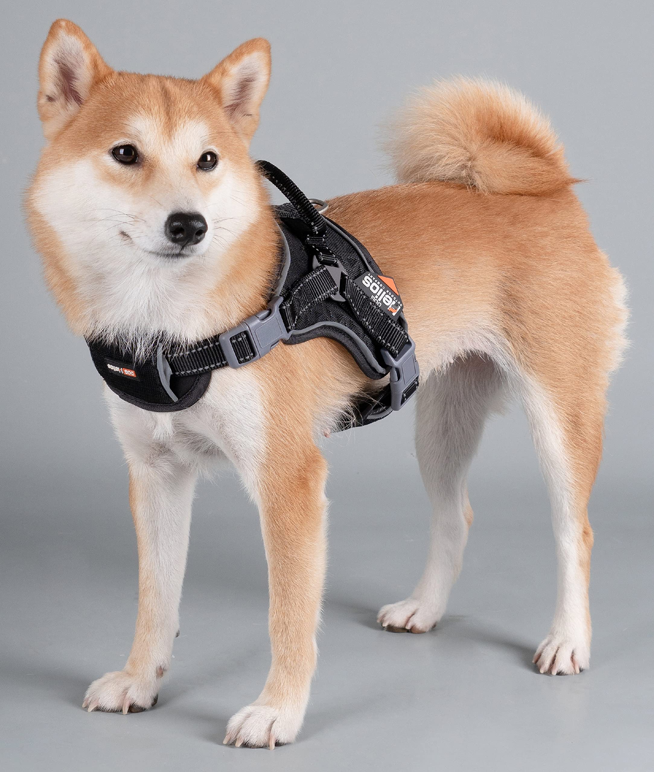 Dog Helios Scorpion Sporty High-Performance Free-Range Dog Harness, MD, Black