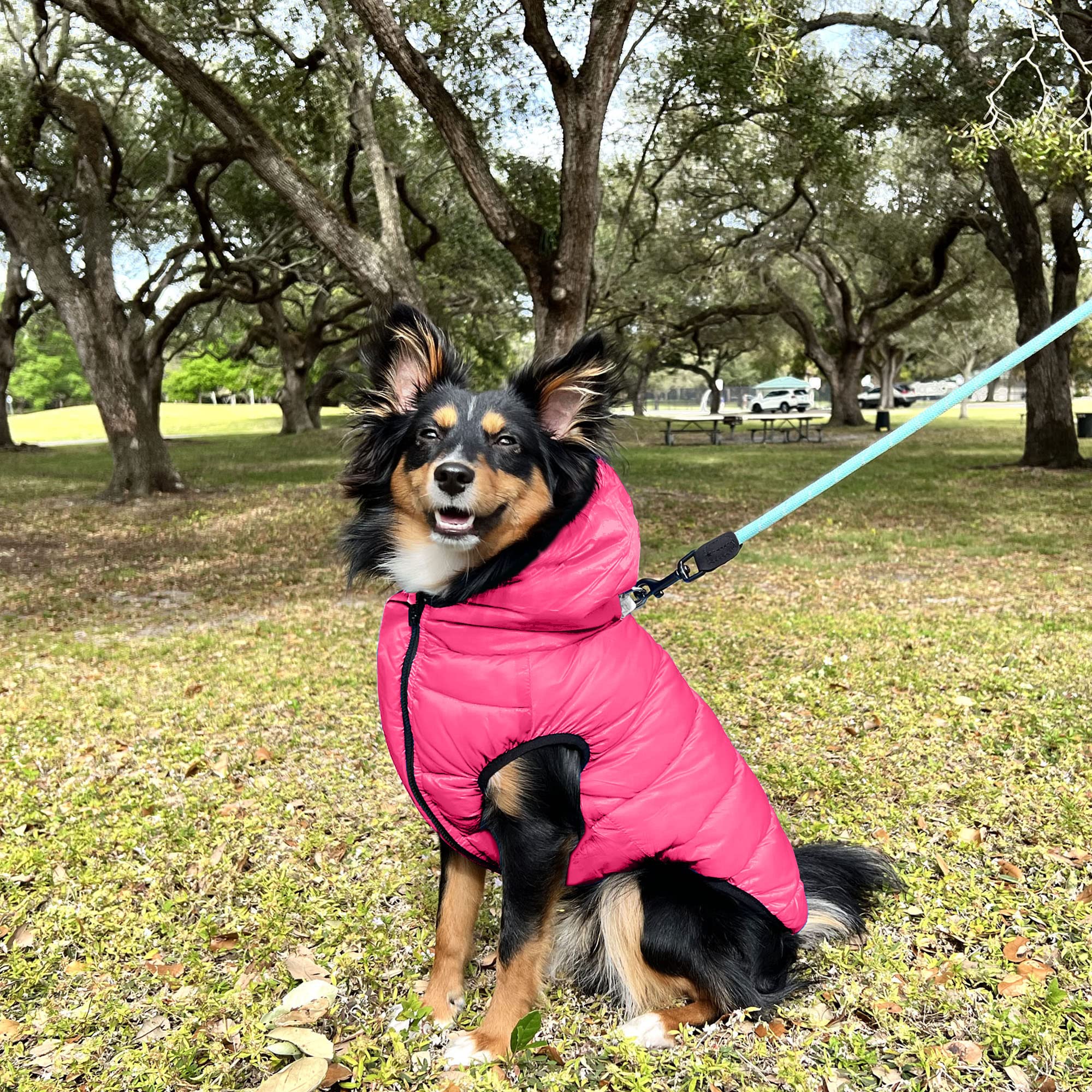 Pawtitas Reversible Dog Winter Jacket | Water Resistant | Keeps Dog Warm & Dry | Grey/Pink - Xxl - Nylon/Fleece