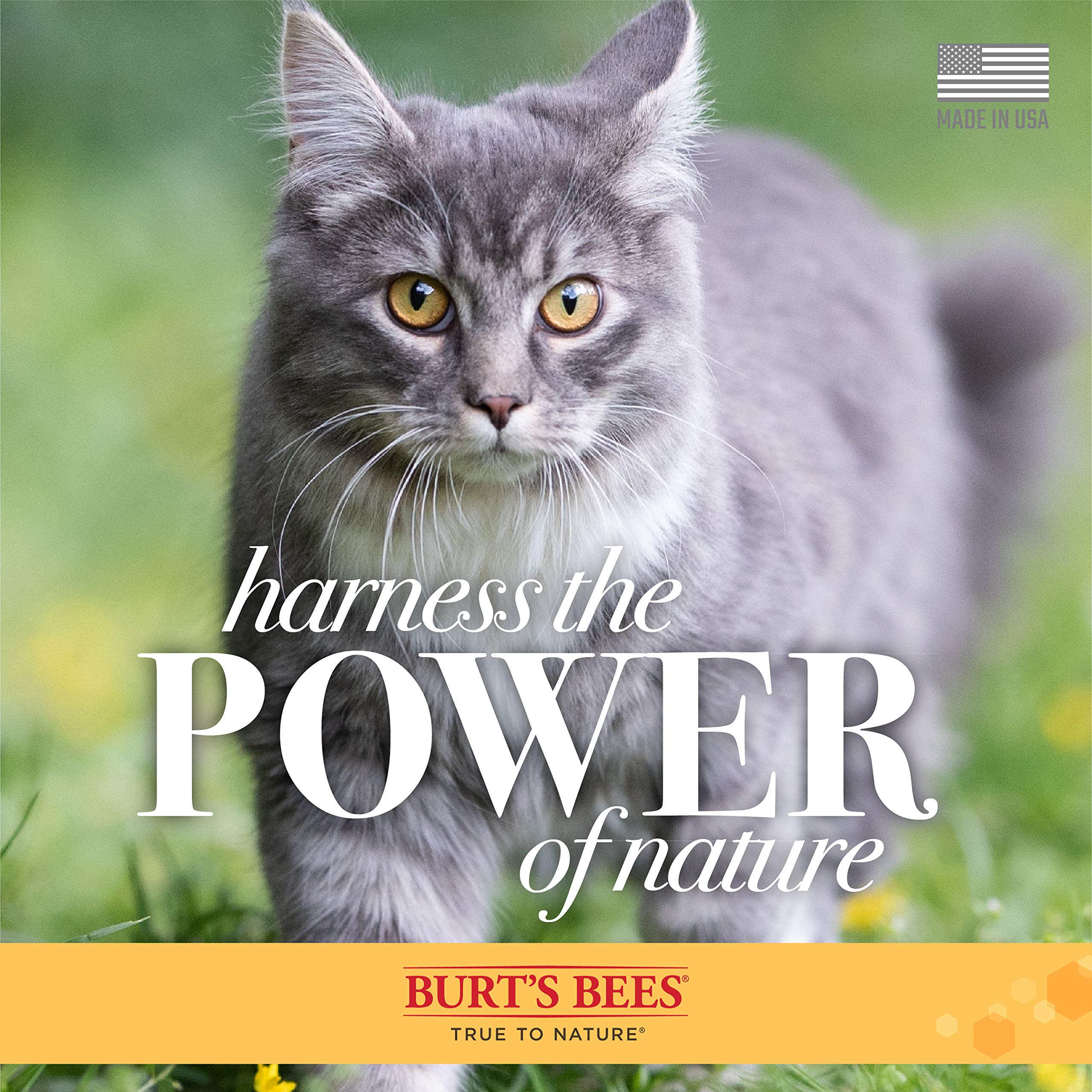 Burt'S Bees For Cats Waterless Shampoo With Apple & Honey | Dry Shampoo For Cats | Waterless Cat Shampoo Spray | Cruelty Free, Sulfate & Paraben Free, Ph Balanced For Cats, 10 Oz- 6 Pack