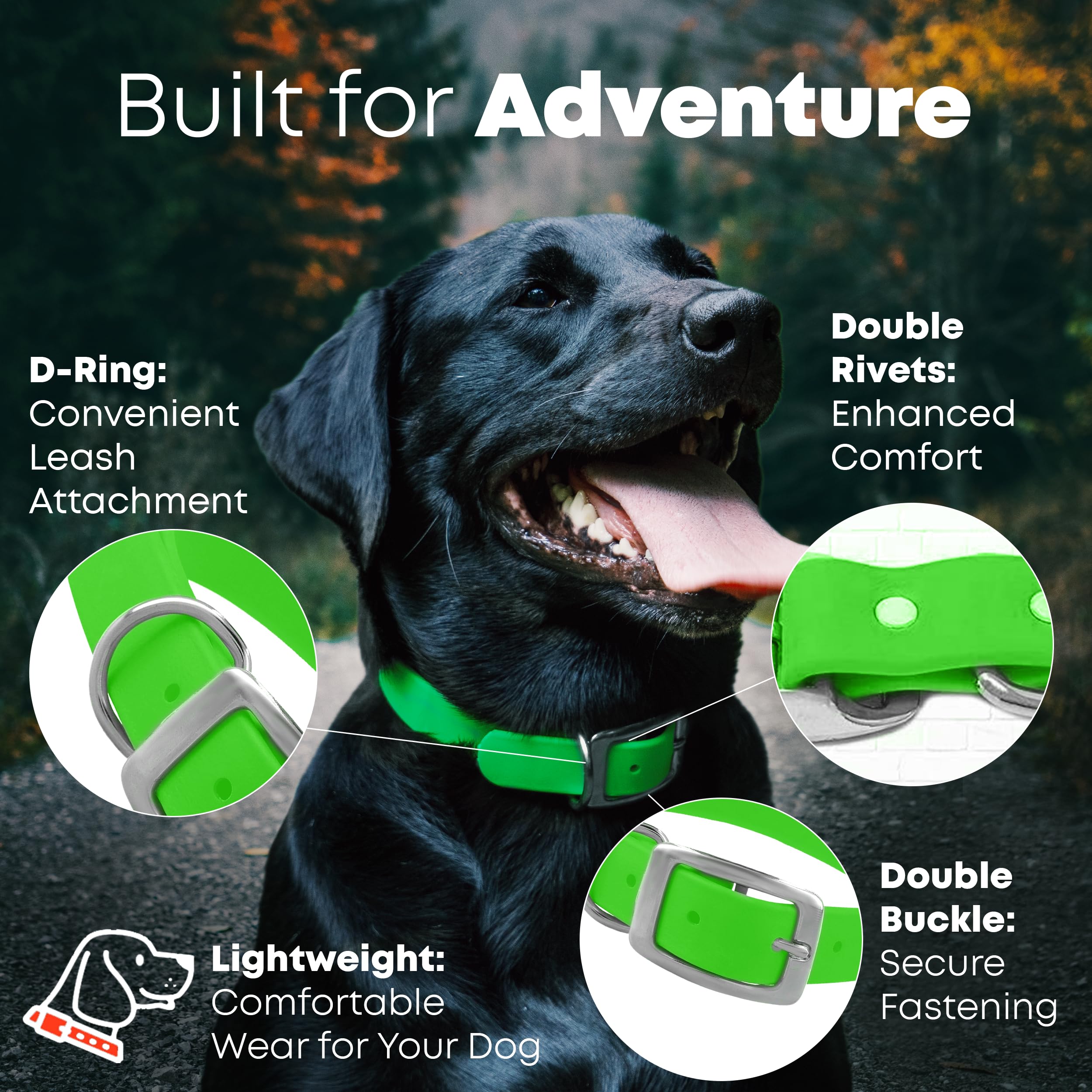 Regal Dog Products Medium Light Green Waterproof Dog Collar and Leash Set | Heavy Duty Double Buckle & D Ring - 5'ft Leash | Adj