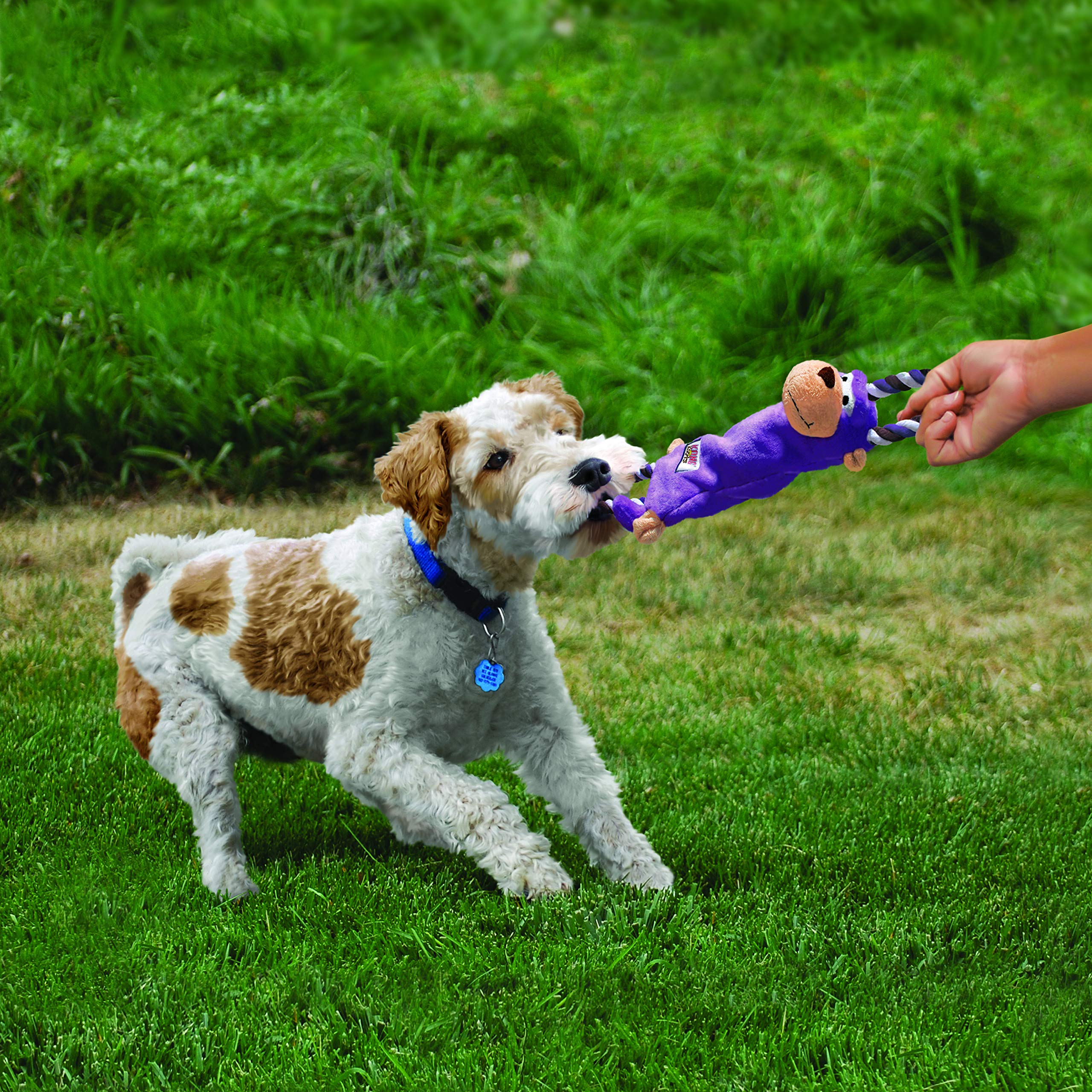 Kong - Tugger Knots Moose - Tug Of War Dog Toy, Minimal Stuffing And Looped Ropes For Added Strength - For Medium/Large Dogs
