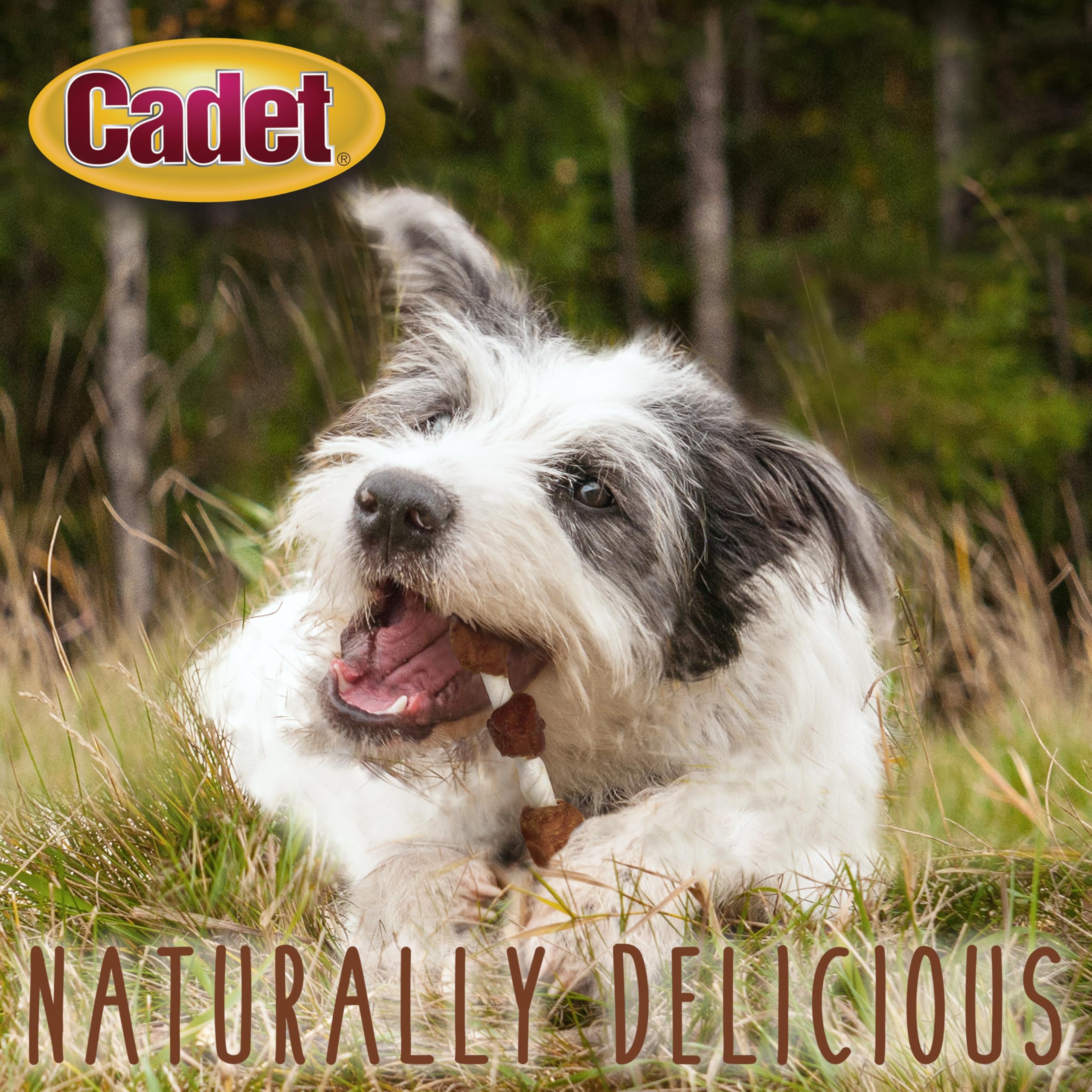 Cadet Gourmet Triple-Flavored Beef Hide Shish Kabob Dog Treats - Healthy & Natural Chicken, Duck, & Sweet Potato Dog Treats, 5 i